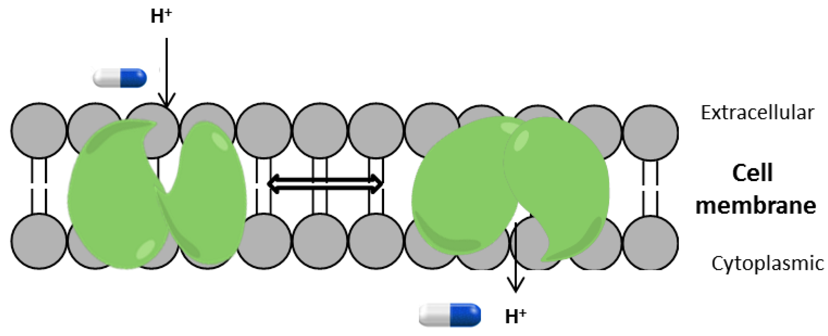 Antibiotics 08 00025 sch001 Antibiotics 08 00025 sch001