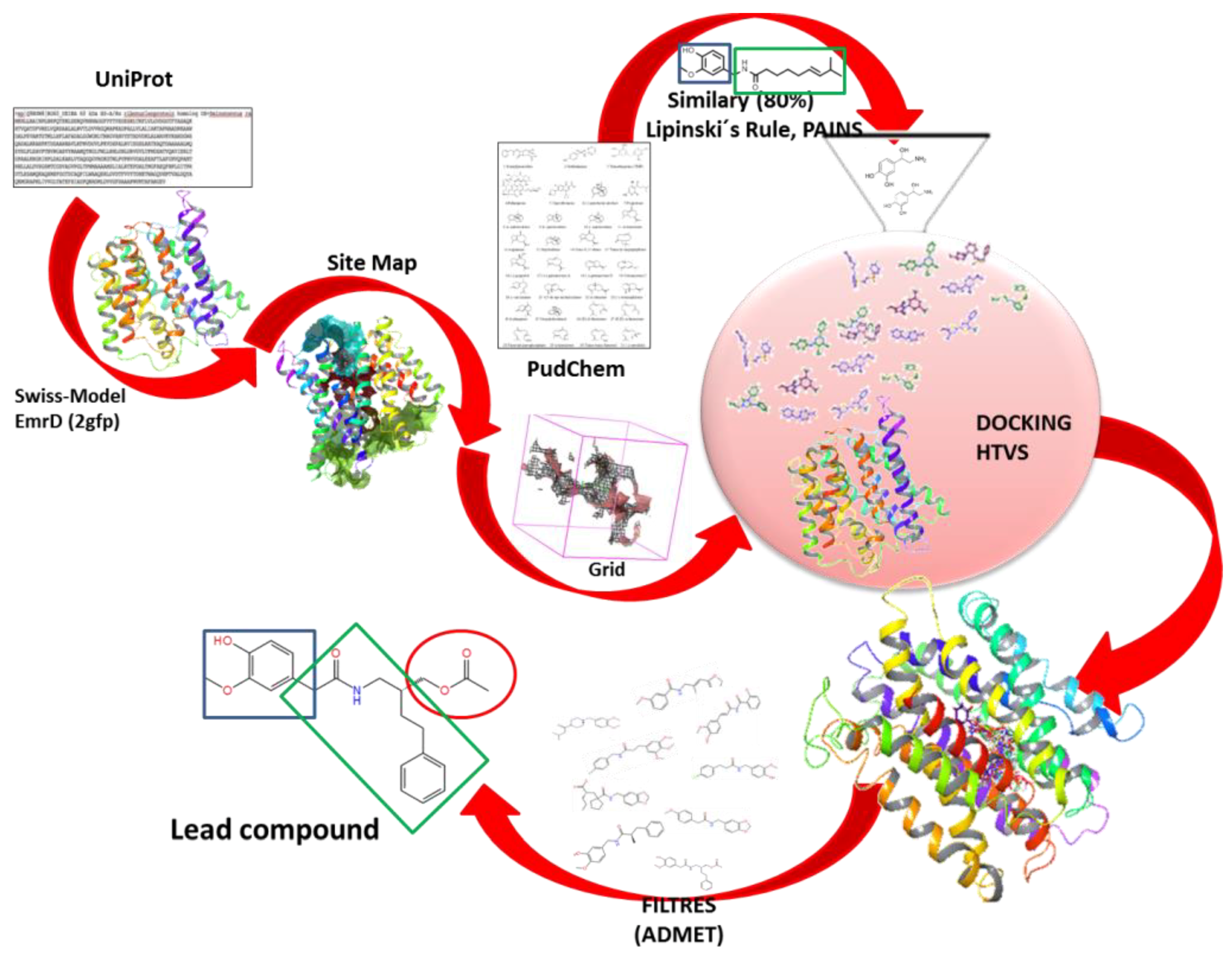 Antibiotics 08 00025 sch002 Antibiotics 08 00025 sch002