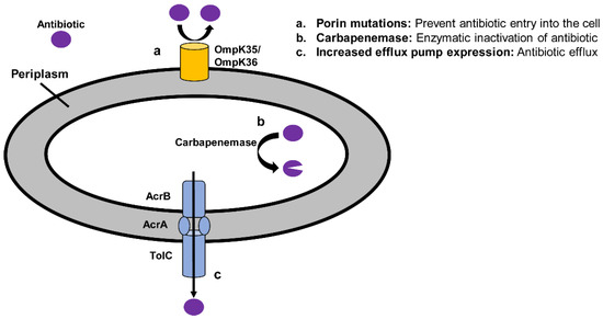 Antibiotics | Free Full-Text | Epidemiology and Mechanisms of