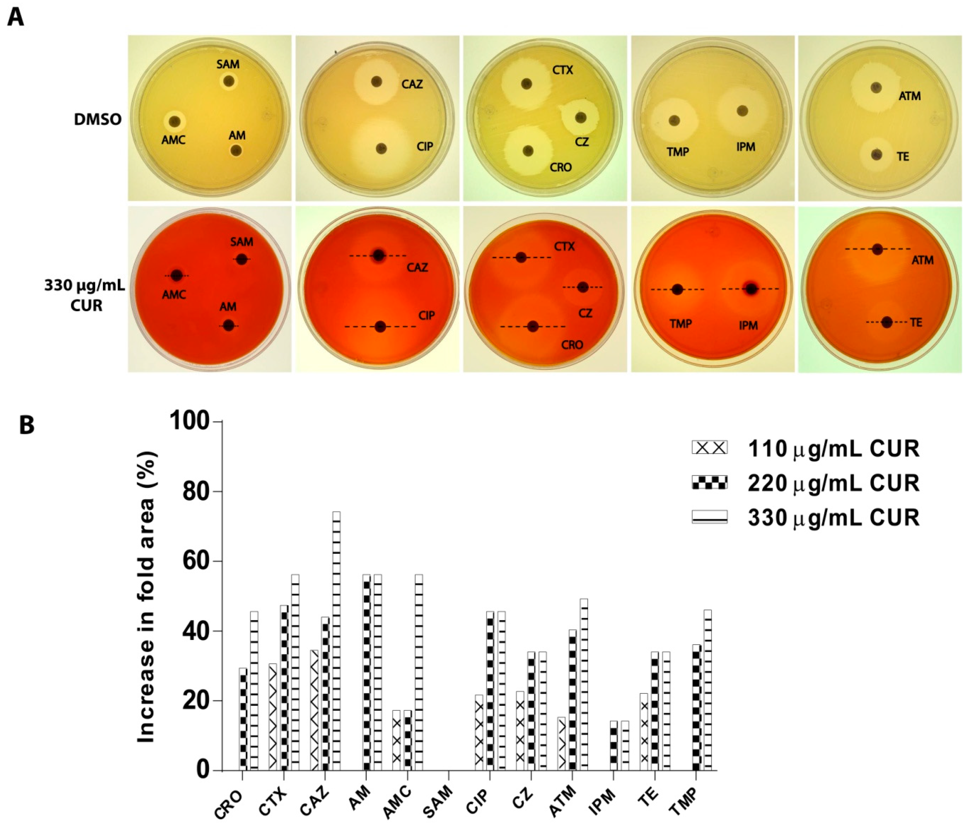 Antibiotics Free FullText Drug Susceptibility Testing and