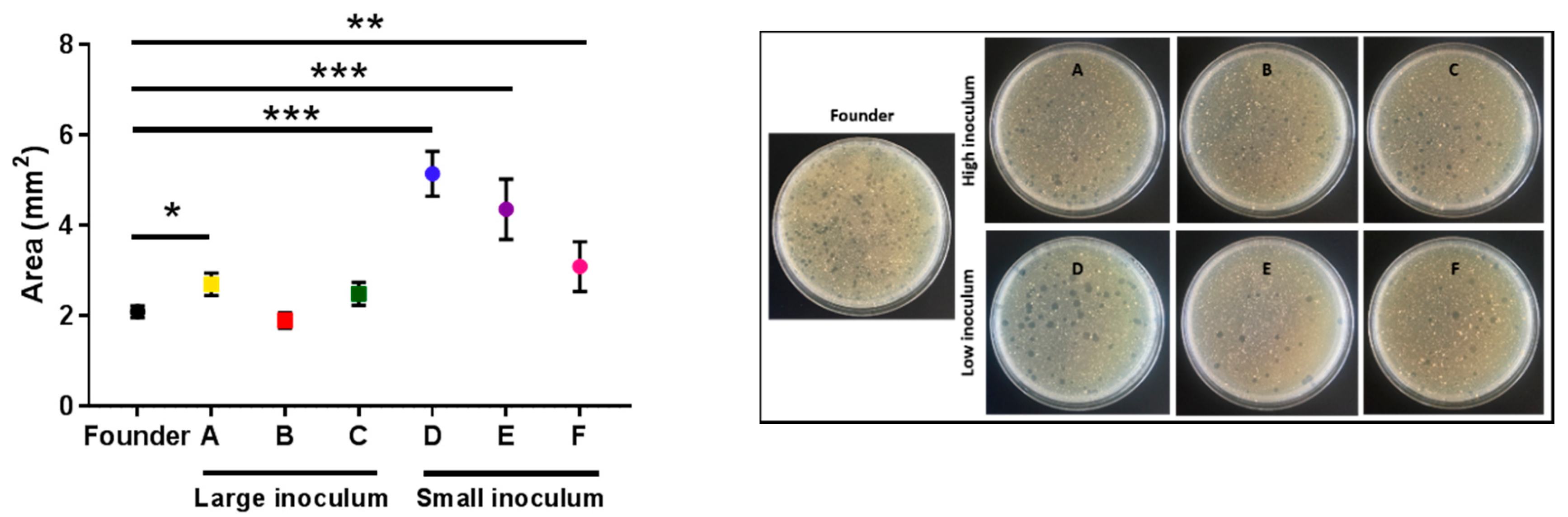 Antibiotics 08 00046 g005