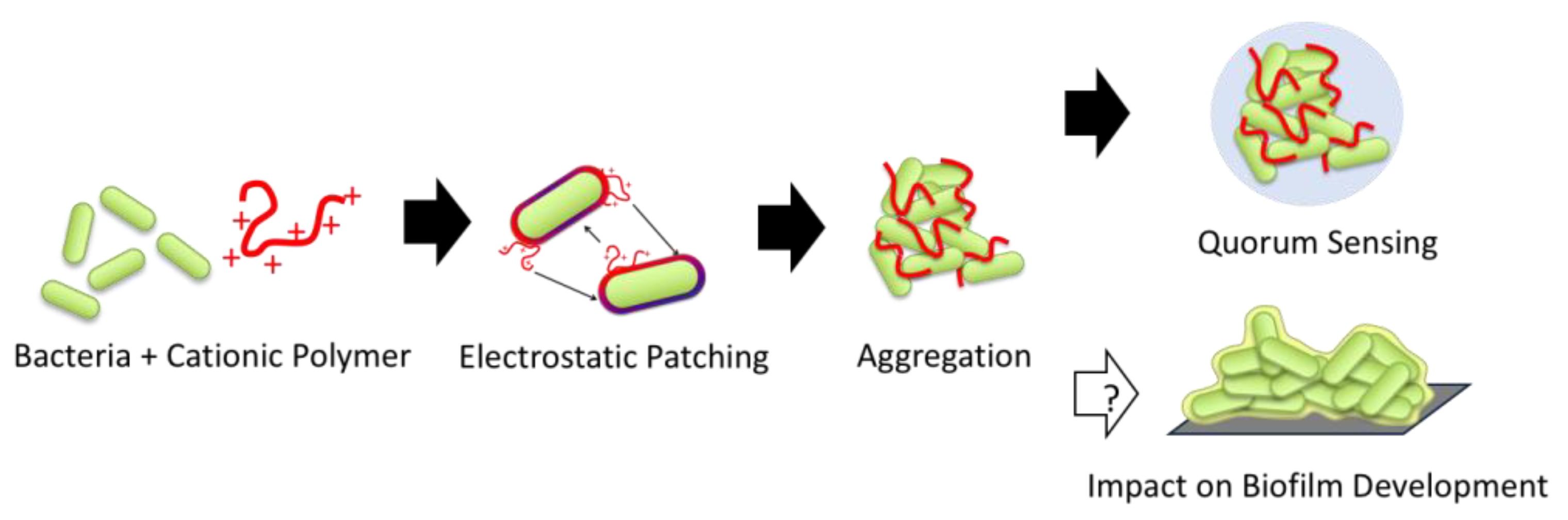 Antibiotics 08 00061 g001