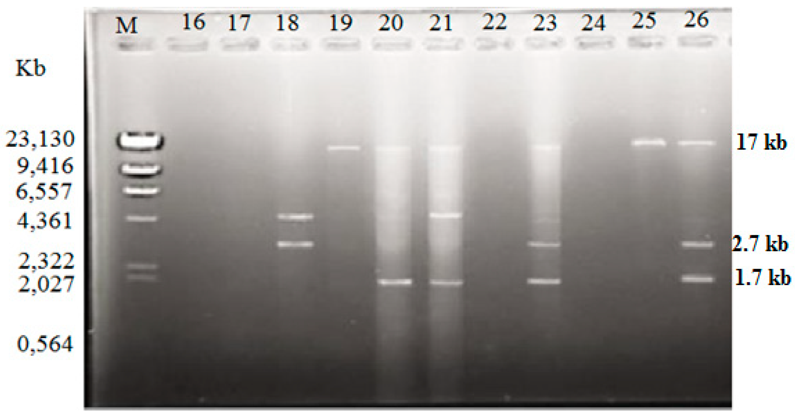 Antibiotics 08 00068 g001 Antibiotics 08 00068 g001
