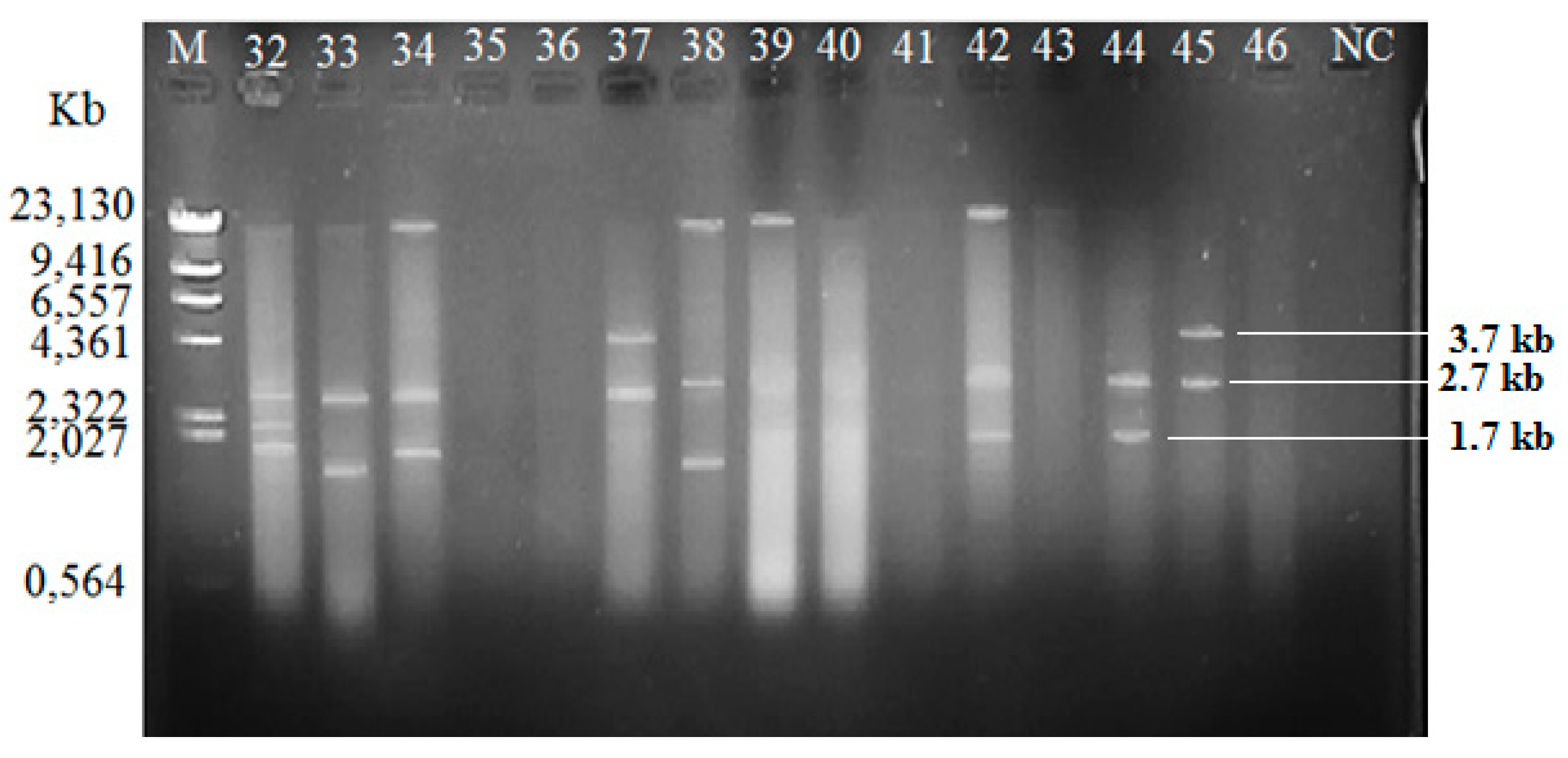 Antibiotics 08 00068 g002 Antibiotics 08 00068 g002