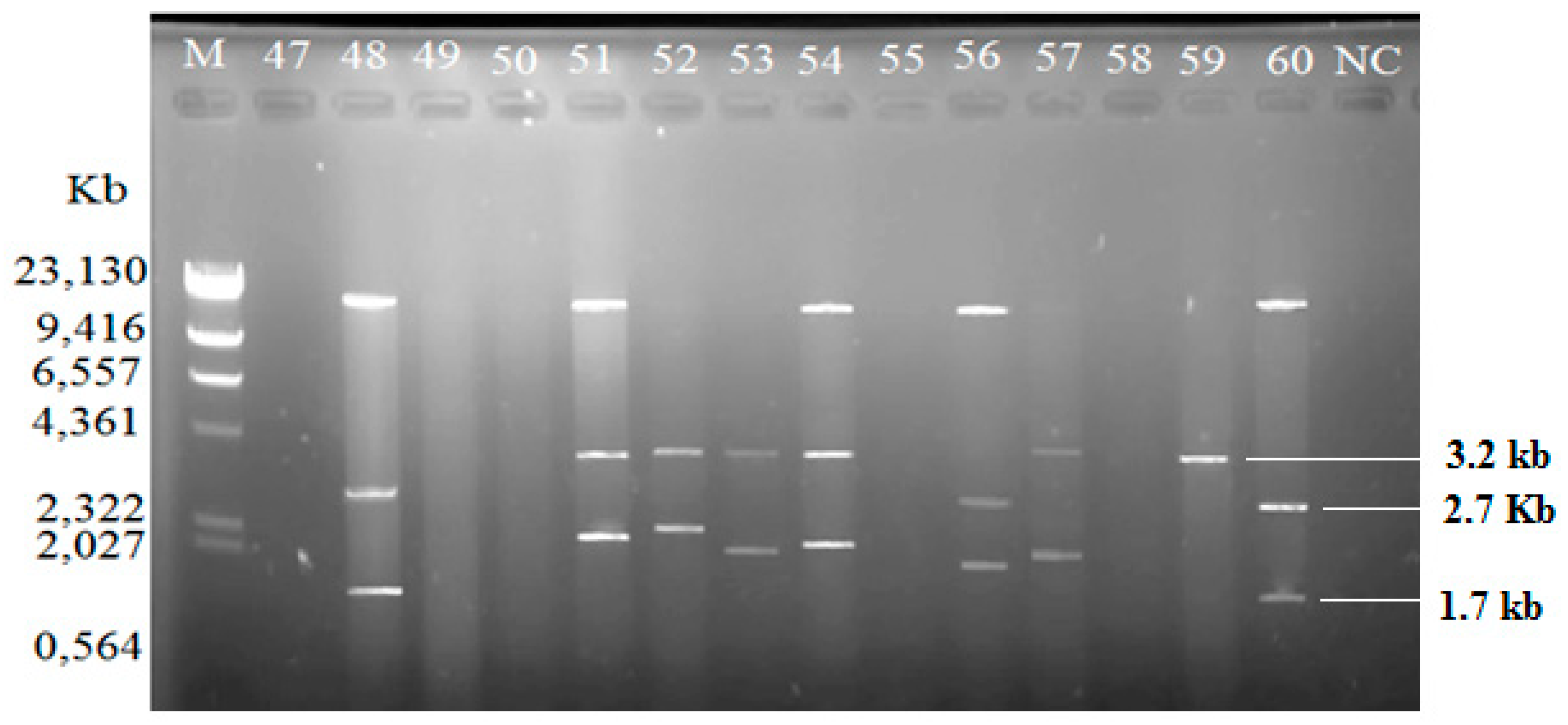 Antibiotics 08 00068 g003 Antibiotics 08 00068 g003
