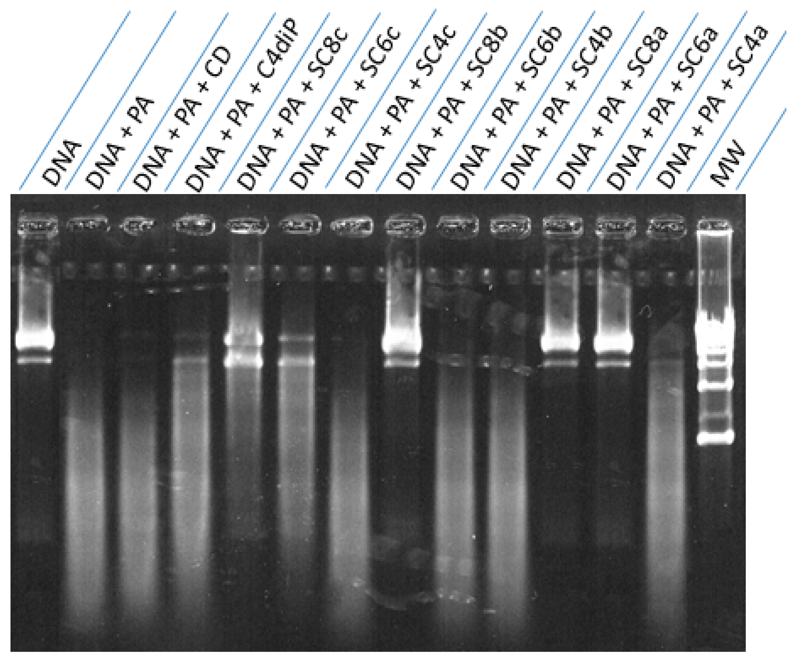 Antibiotics 08 00073 g002 Antibiotics 08 00073 g002