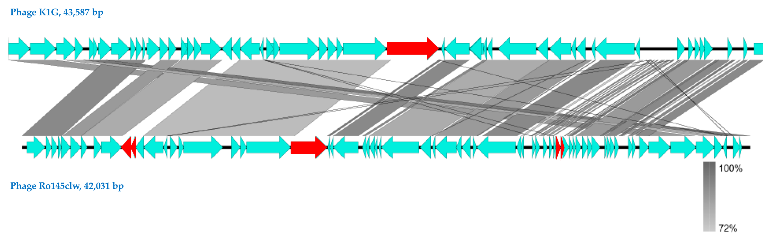 Antibiotics 08 00074 g001