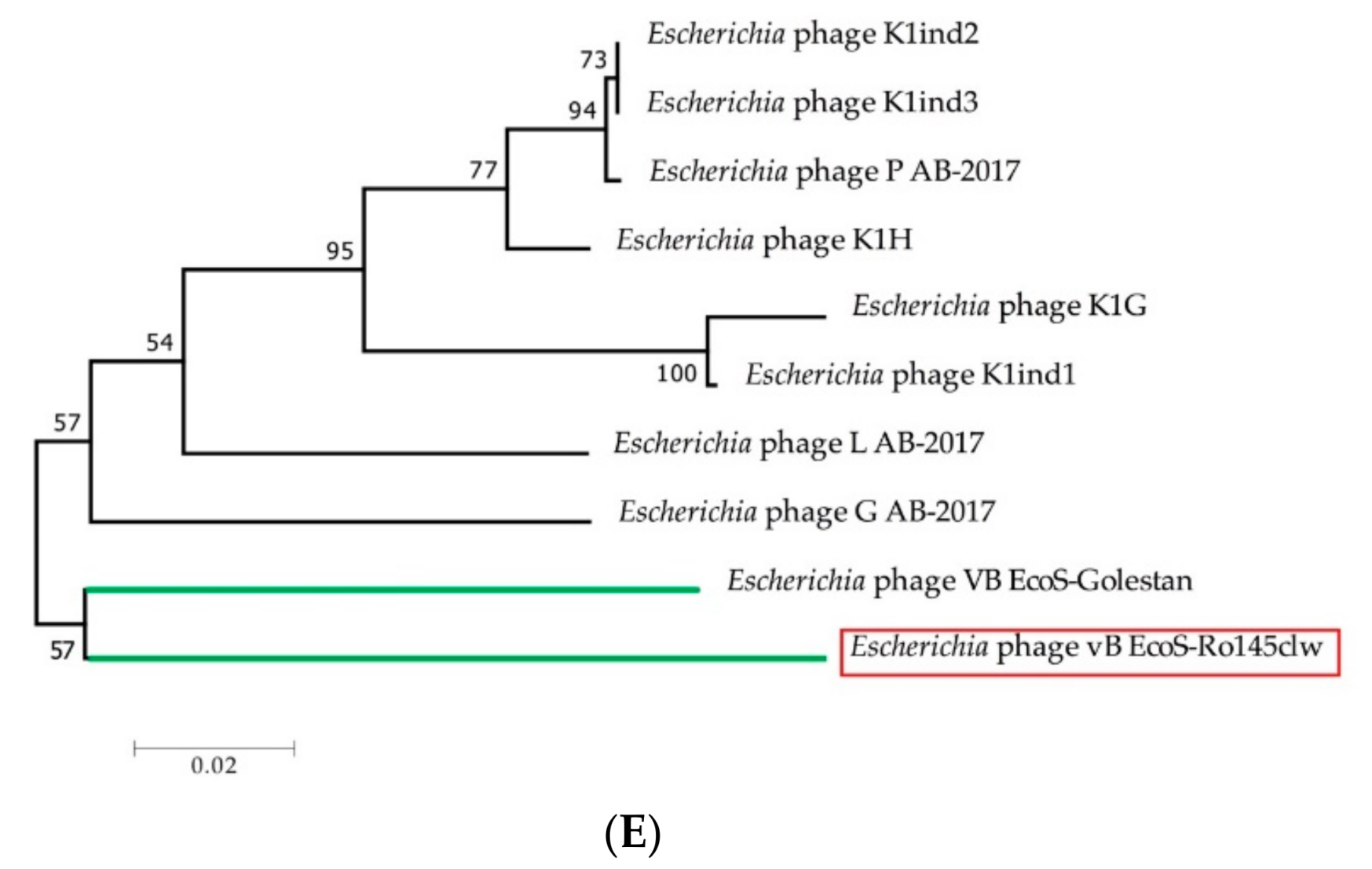 Antibiotics 08 00074 g002b