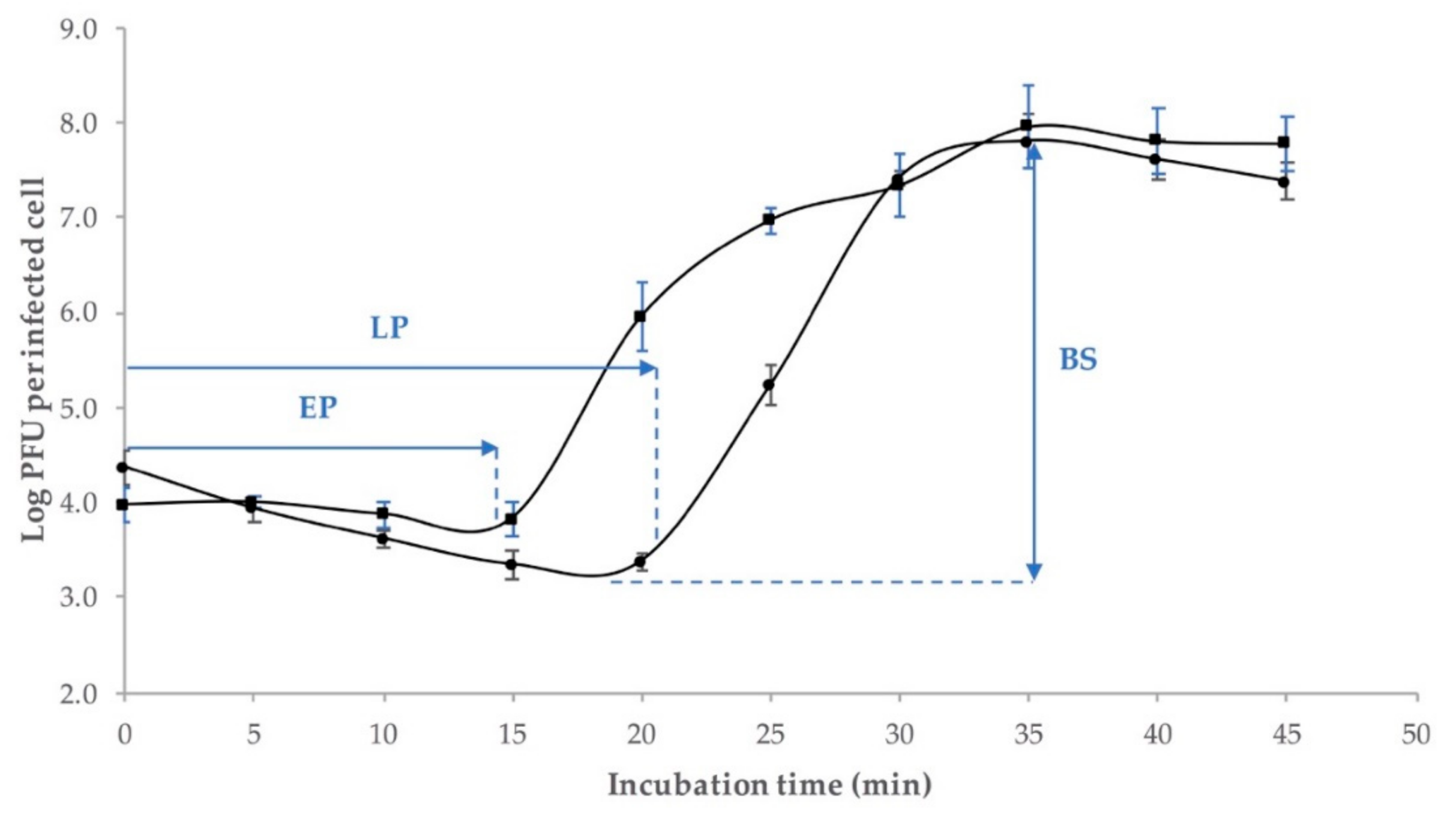 Antibiotics 08 00074 g004