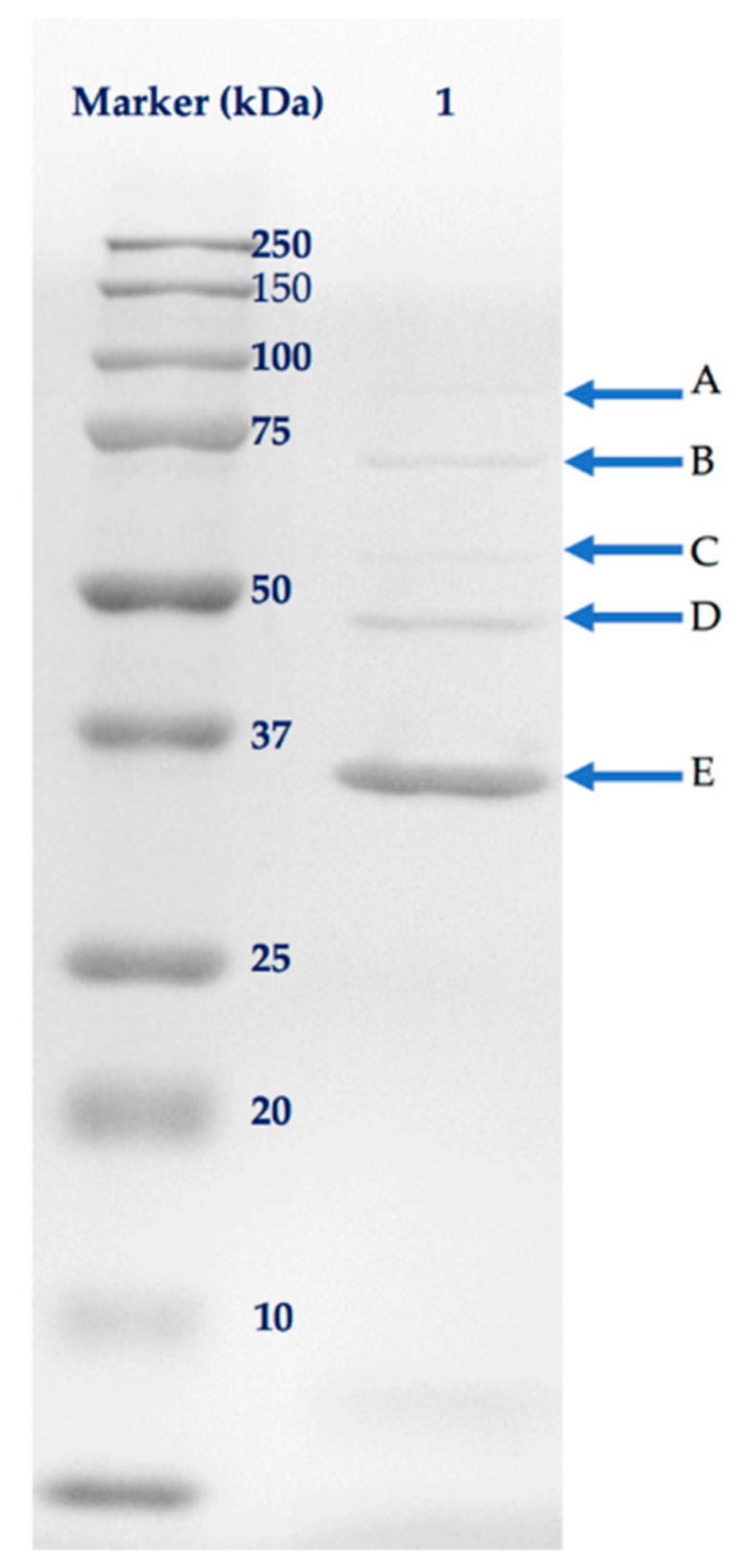Antibiotics 08 00074 g006