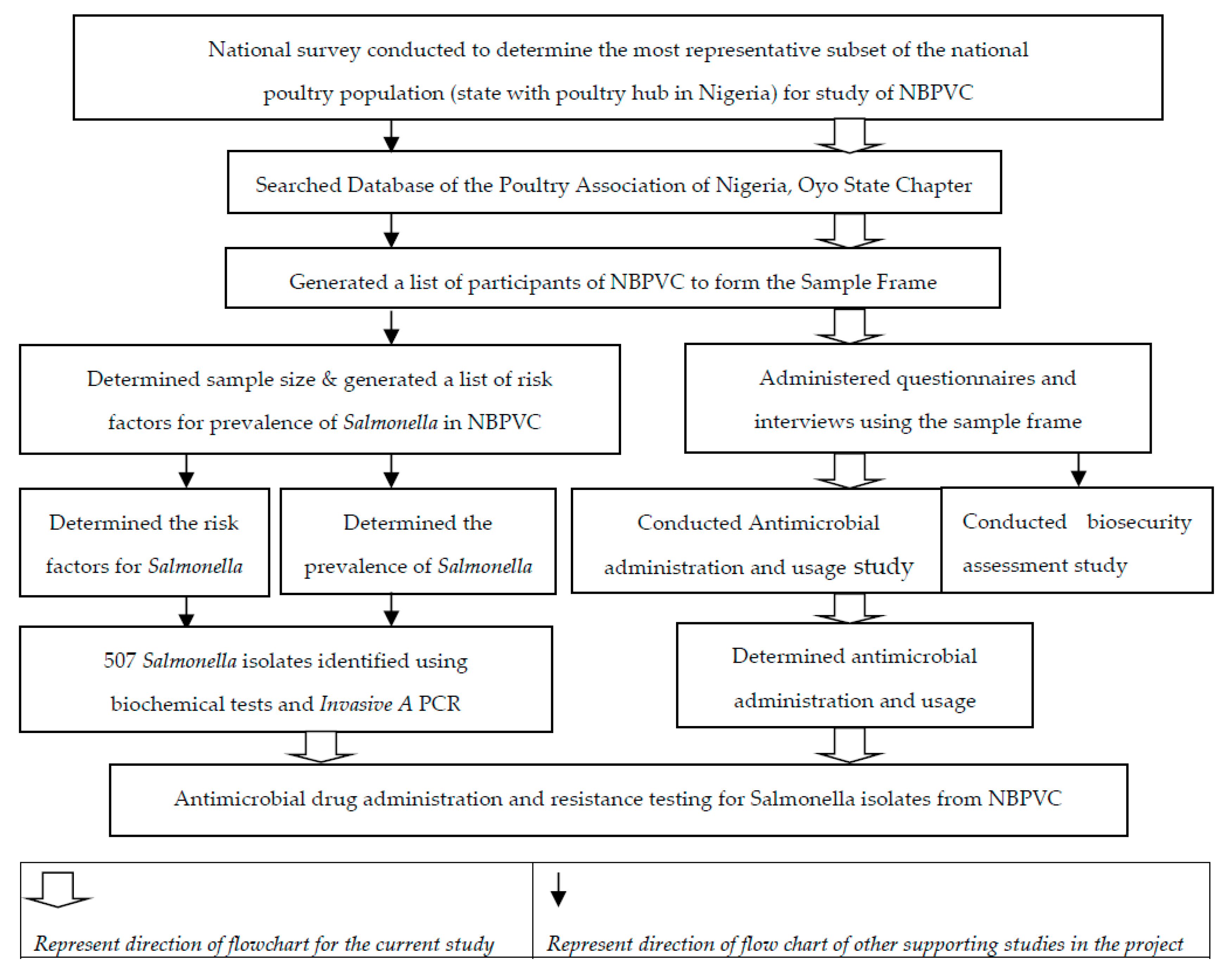 Antibiotics Free Full Text Antimicrobial Drug Administration And Antimicrobial Resistance Of Salmonella Isolates Originating From The Broiler Production Value Chain In Nigeria Html