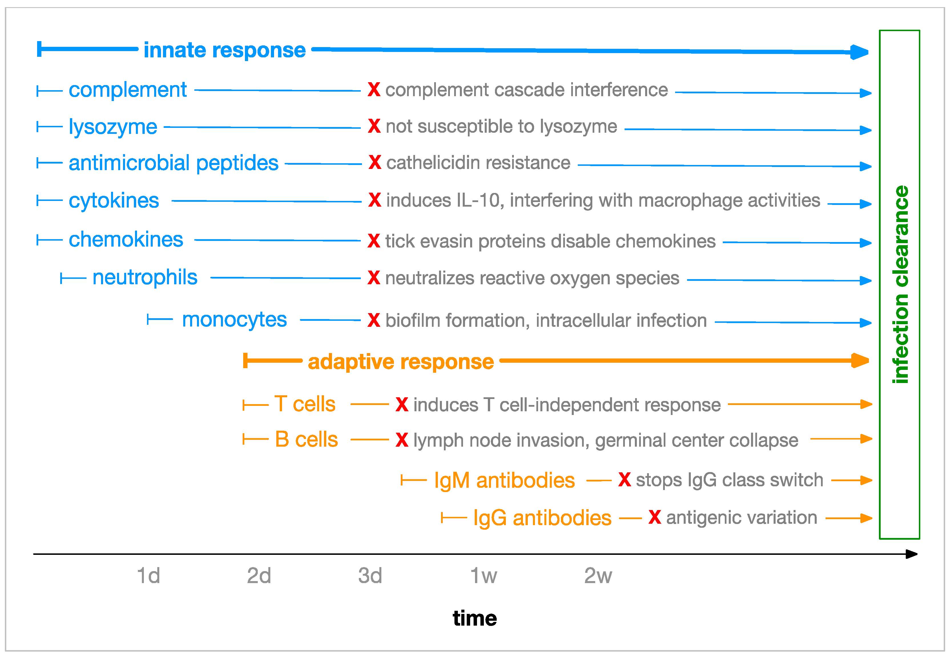 Antibiotics 08 00080 g002