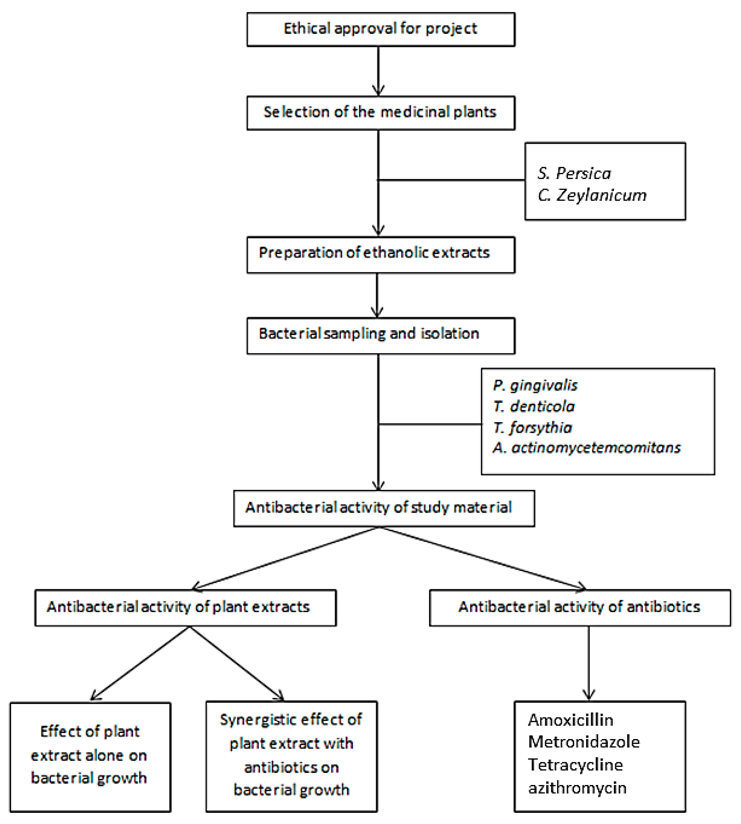 Antibiotic Efficacy Chart