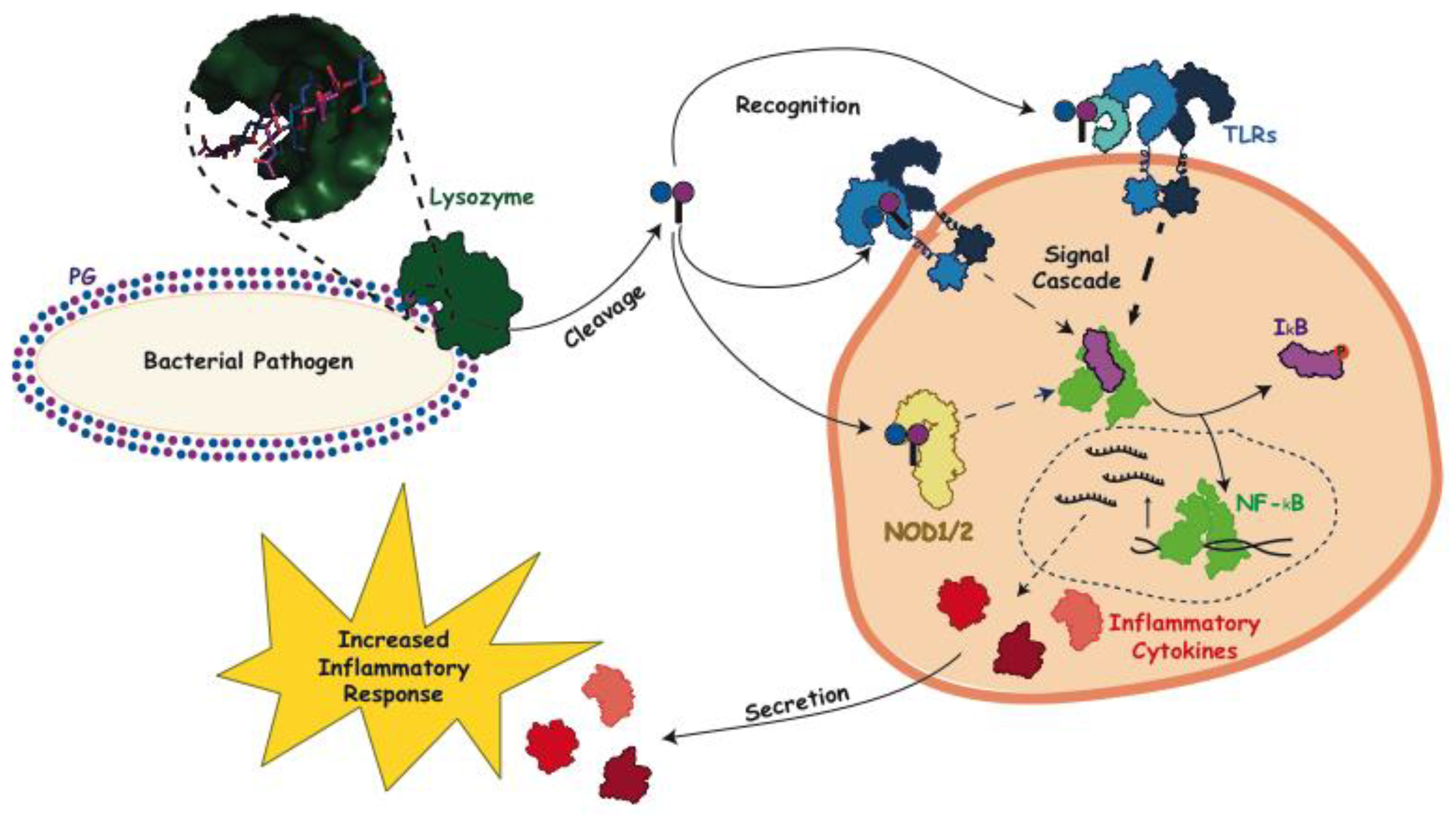 Antibiotics 08 00094 g003 Antibiotics 08 00094 g003