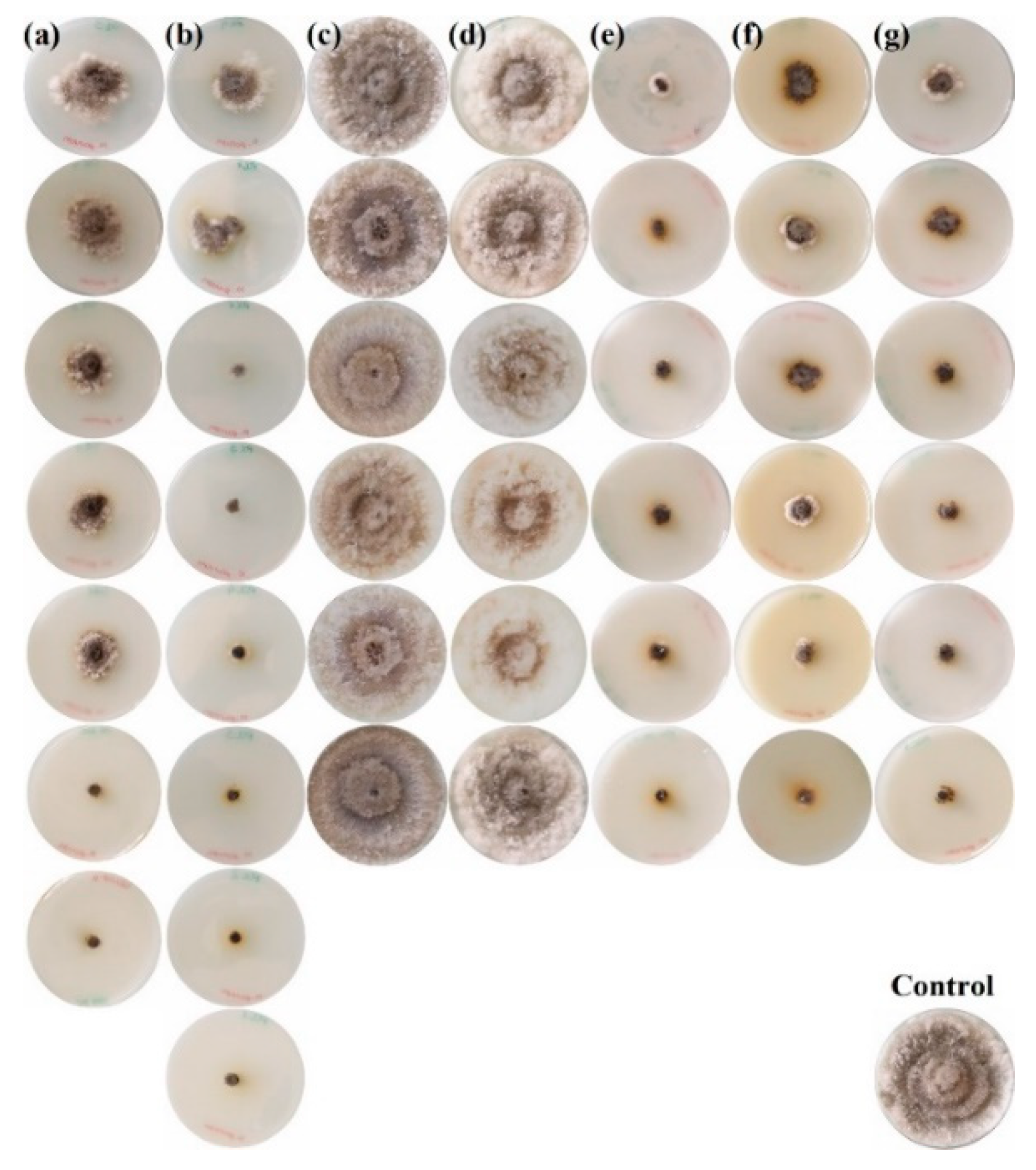 Antibiotics 08 00099 g002 Antibiotics 08 00099 g002