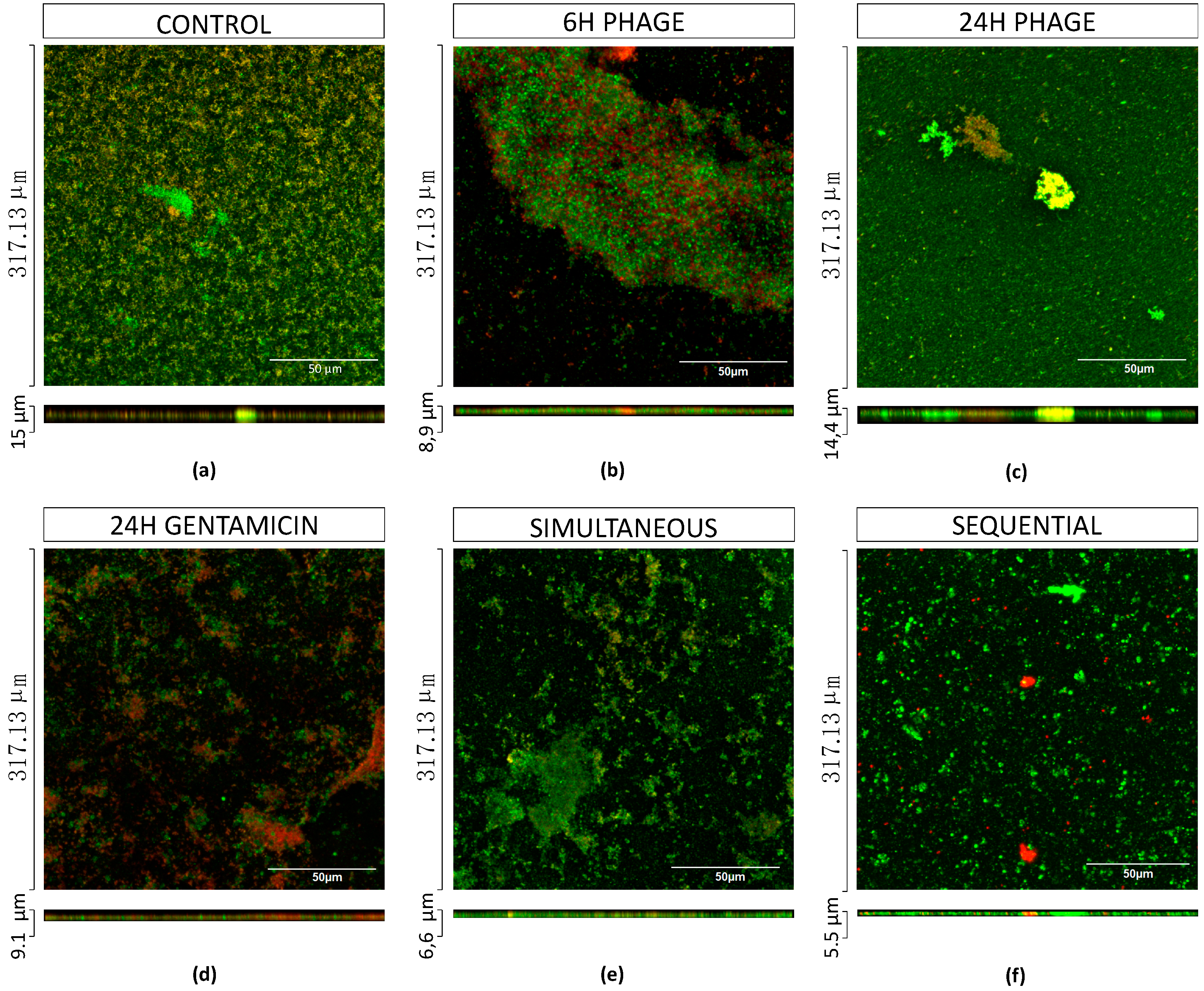 Antibiotics 08 00103 g008 Antibiotics 08 00103 g008