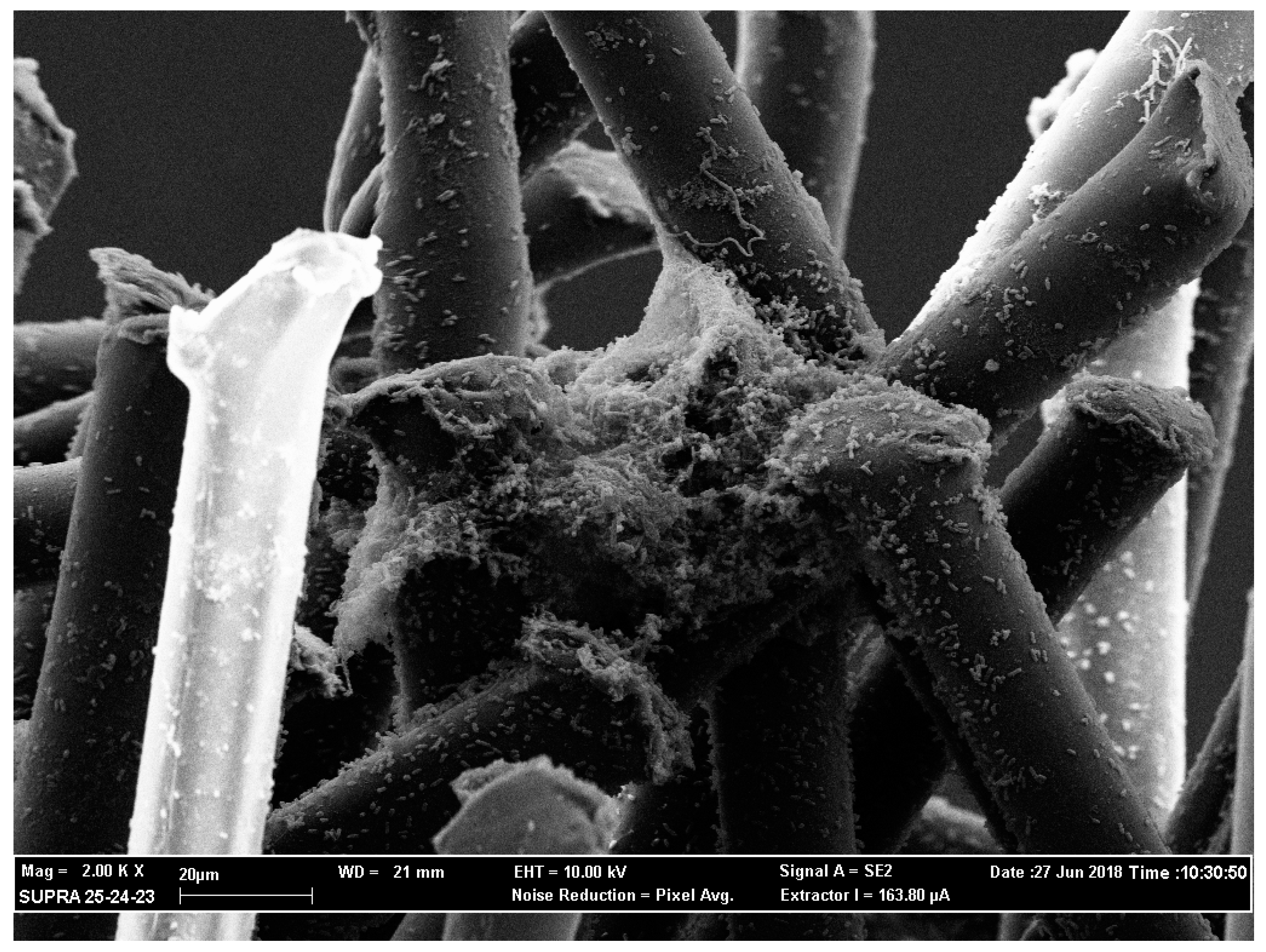 Antibiotics 08 00112 g001