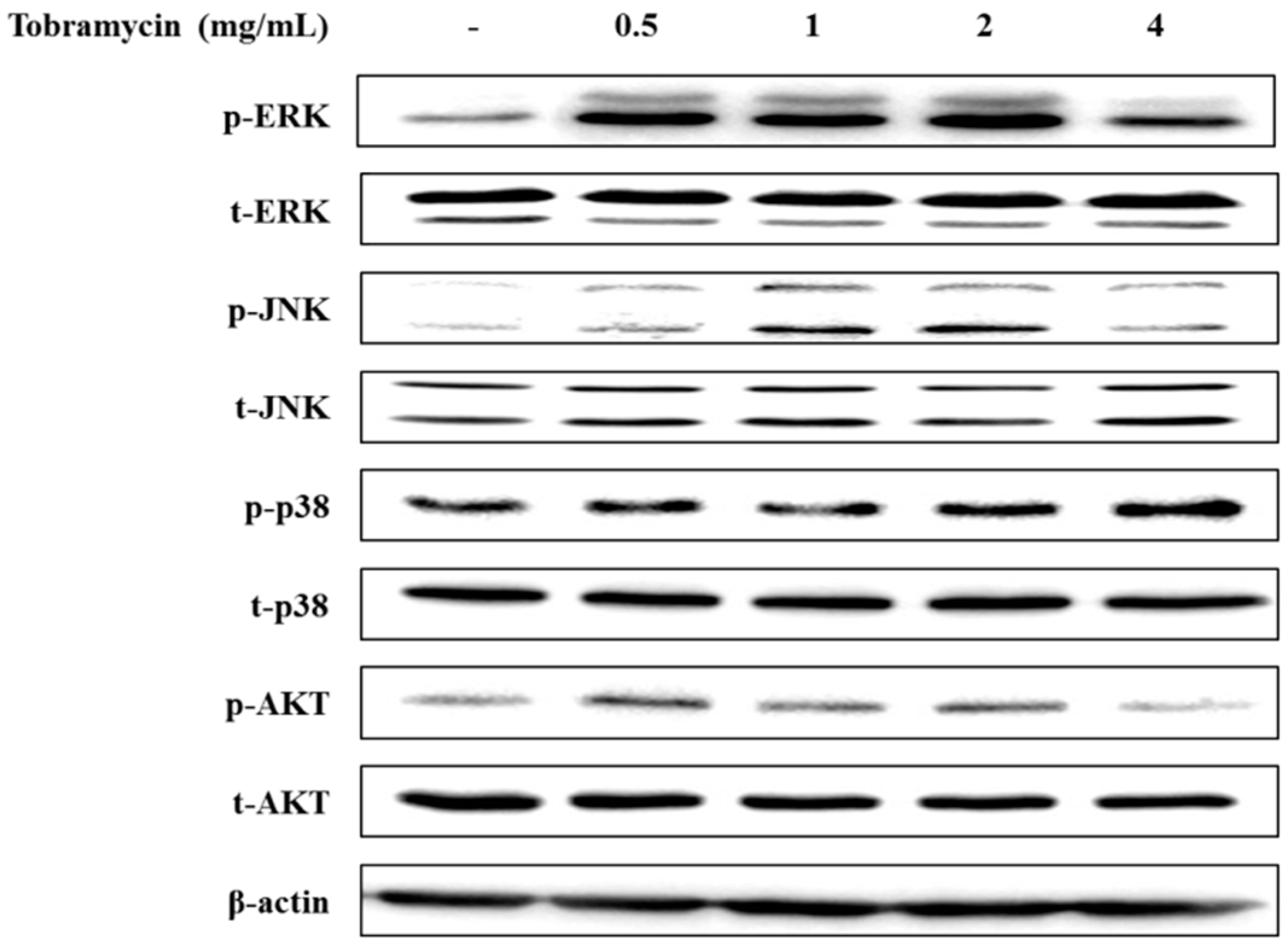 Antibiotics 08 00140 g007 Antibiotics 08 00140 g007