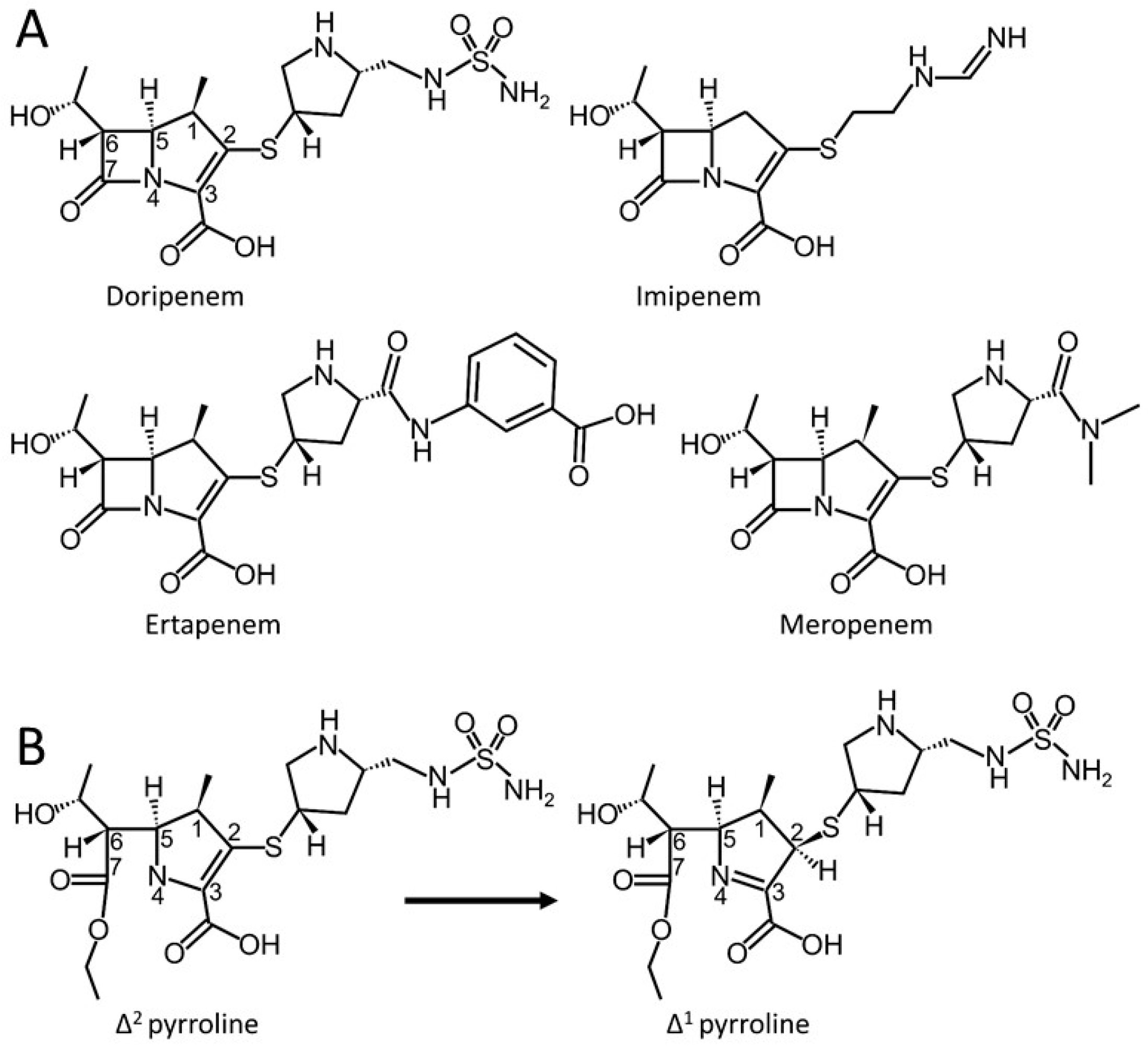 Antibiotics 08 00145 g001 Antibiotics 08 00145 g001