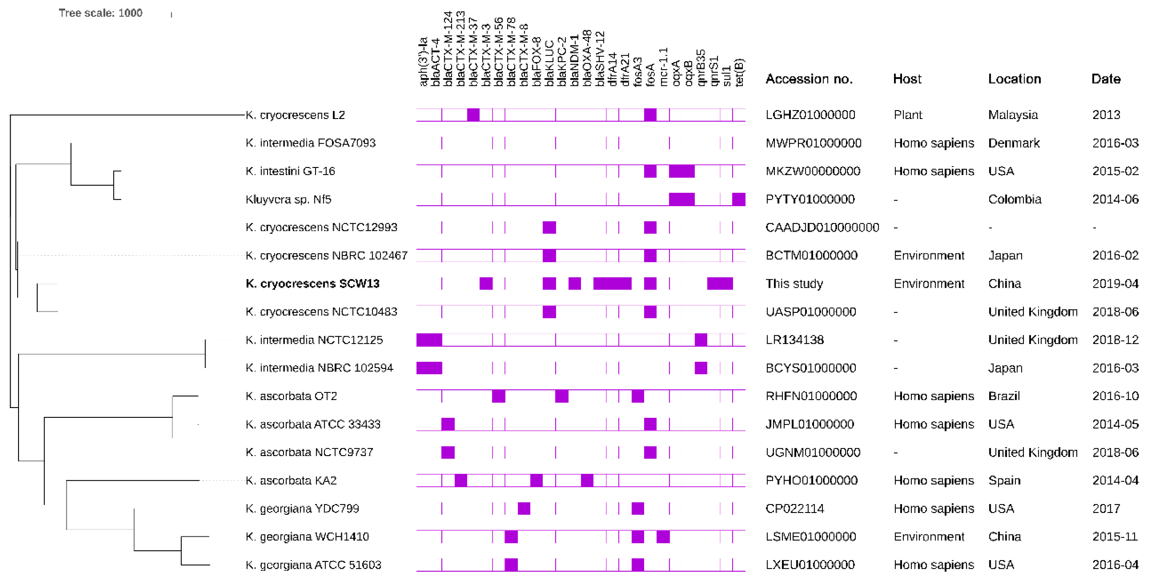 Antibiotics 08 00149 g003 Antibiotics 08 00149 g003