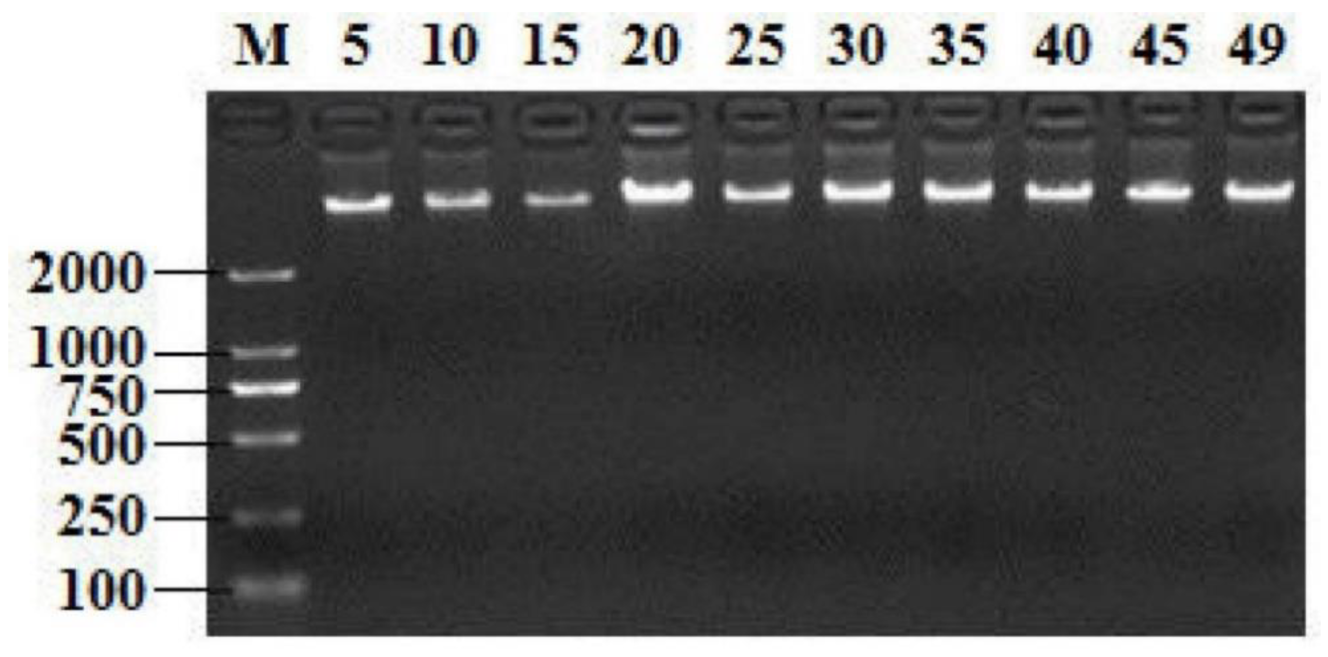Antibiotics 08 00151 g001 Antibiotics 08 00151 g001