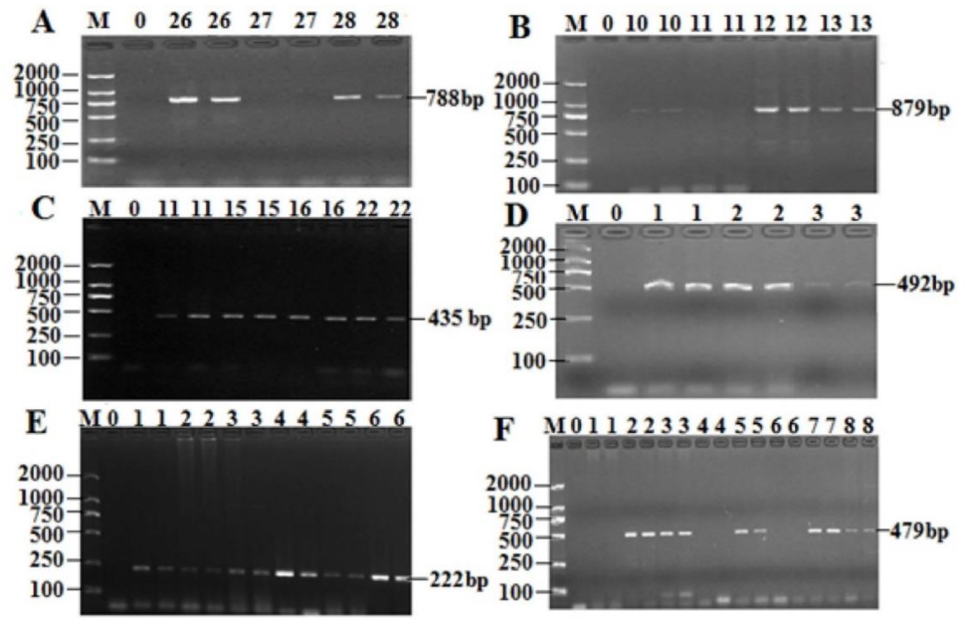 Antibiotics 08 00151 g005 Antibiotics 08 00151 g005