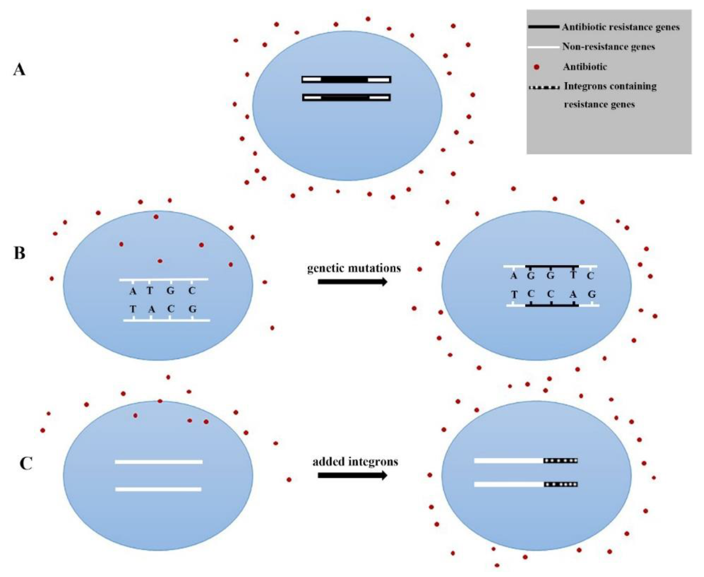 Antibiotics 08 00151 g006 Antibiotics 08 00151 g006