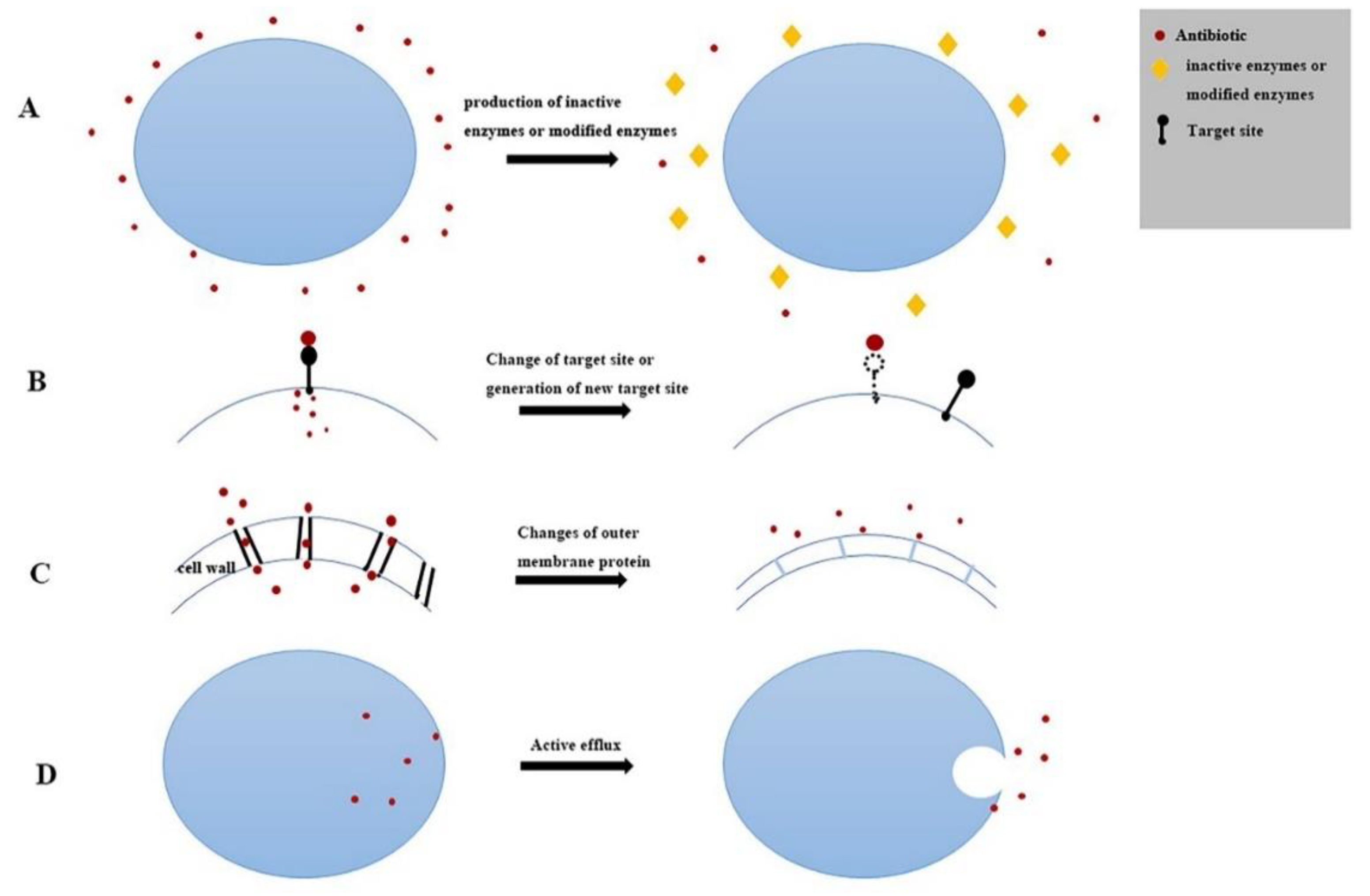 Antibiotics 08 00151 g007 Antibiotics 08 00151 g007