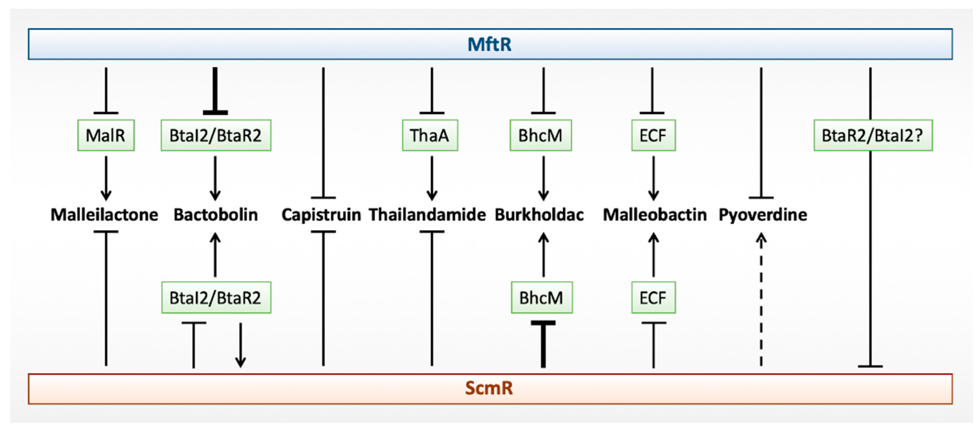 Antibiotics 08 00160 g003 Antibiotics 08 00160 g003
