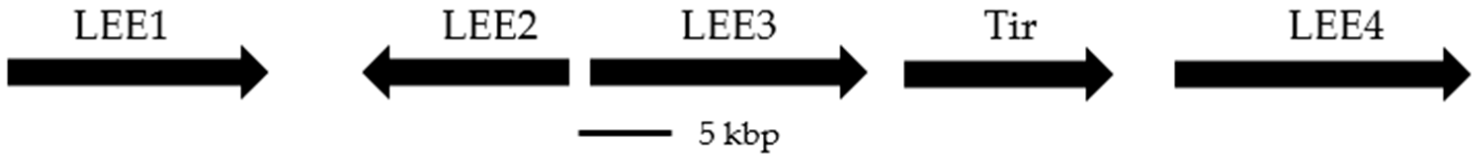 Antibiotics 08 00162 g002 Antibiotics 08 00162 g002