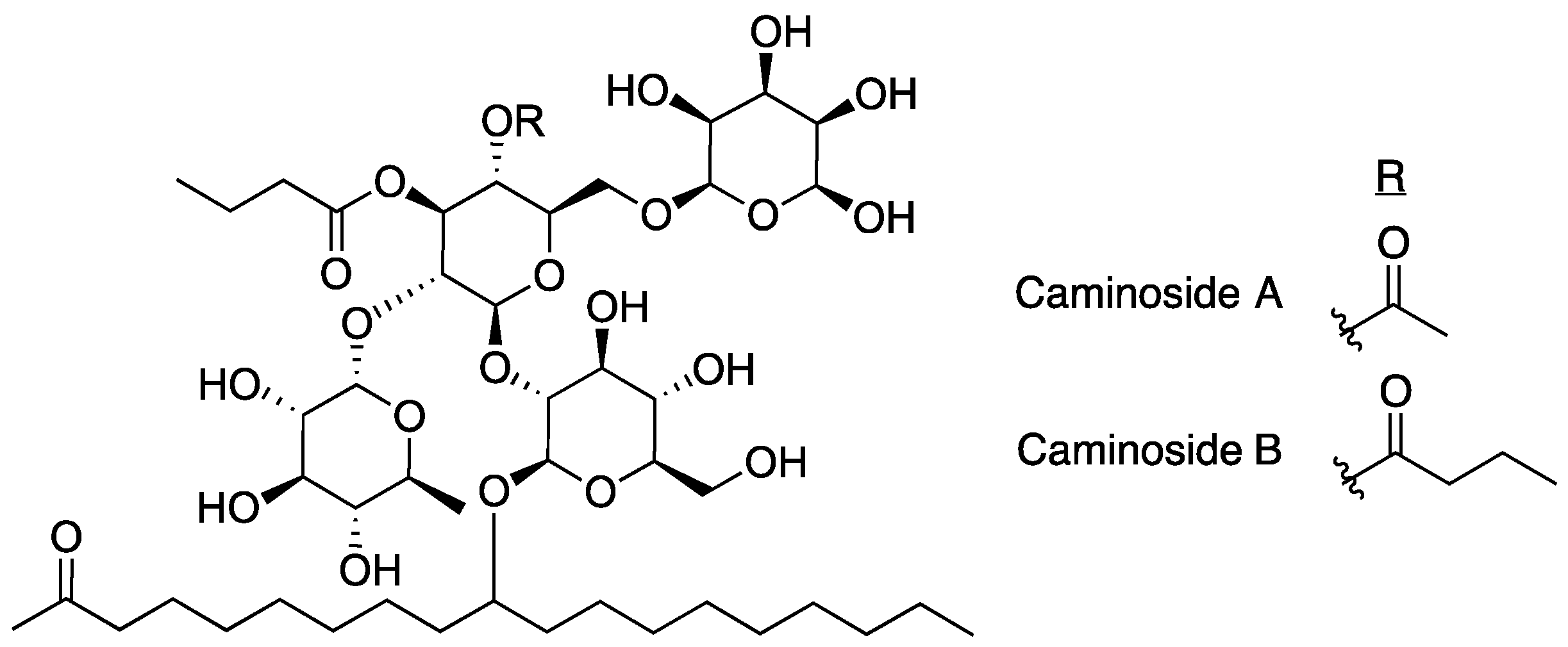 Antibiotics 08 00162 g003 Antibiotics 08 00162 g003