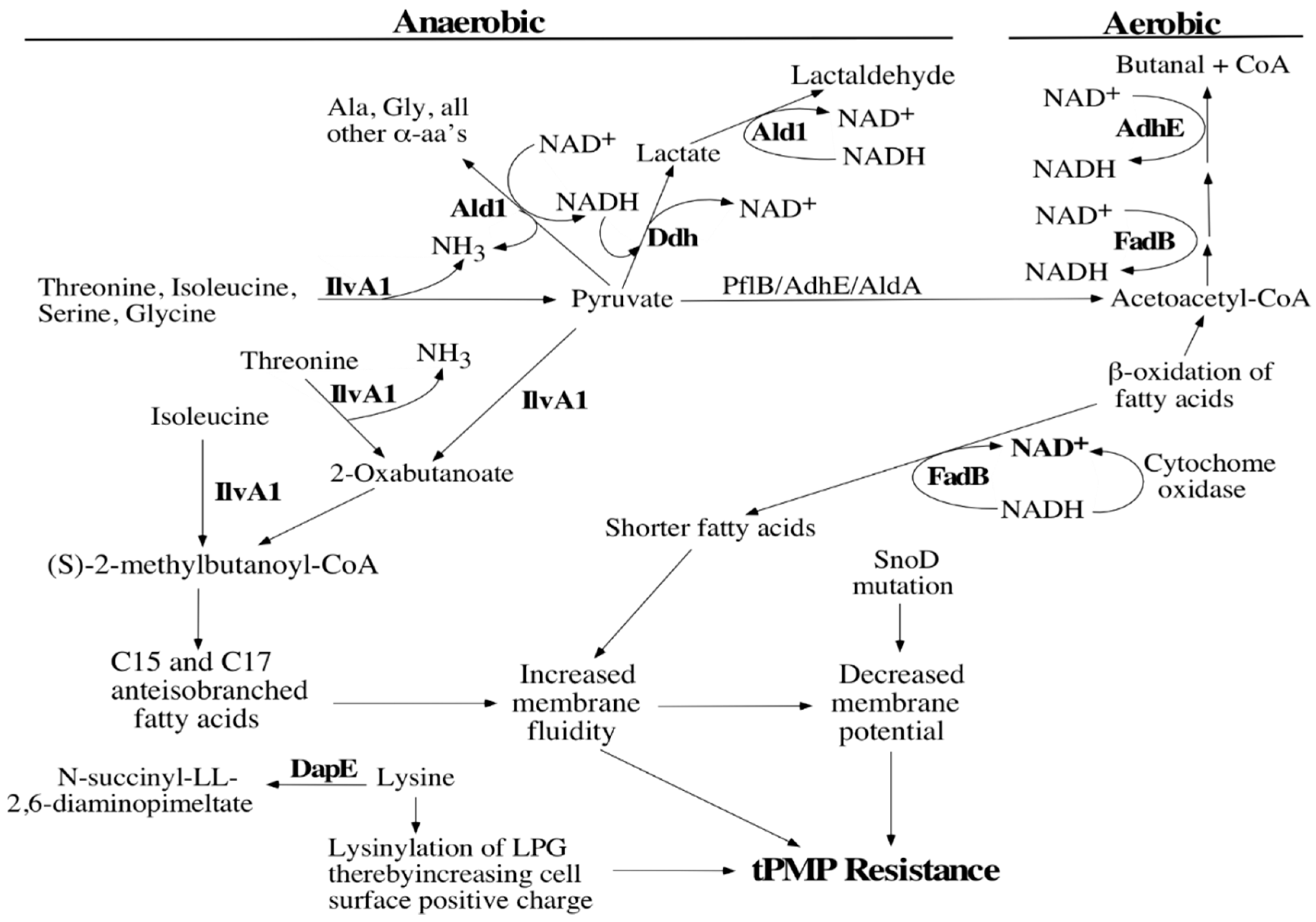 Antibiotics 08 00169 g001