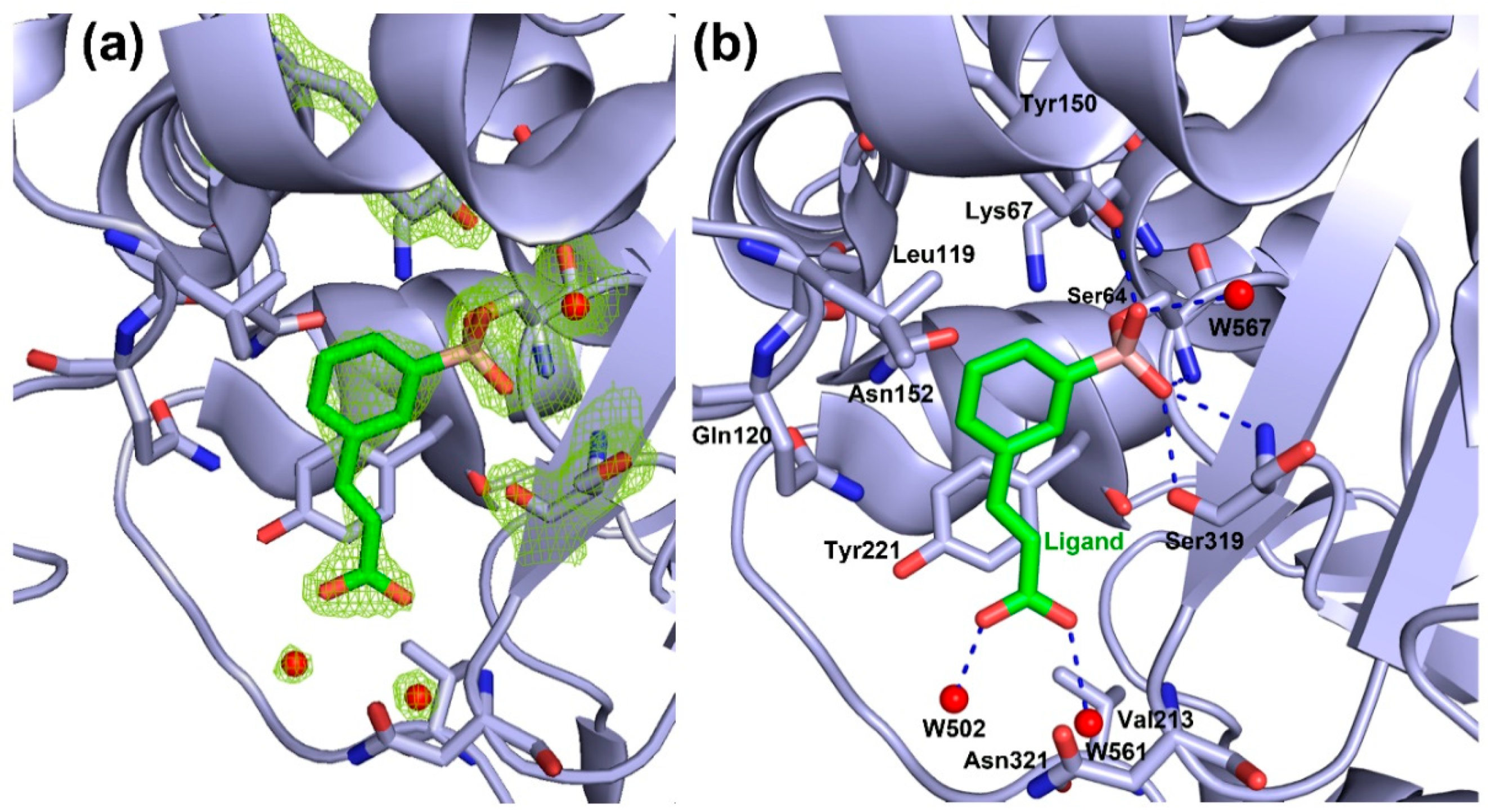 Antibiotics 08 00171 g005 Antibiotics 08 00171 g005