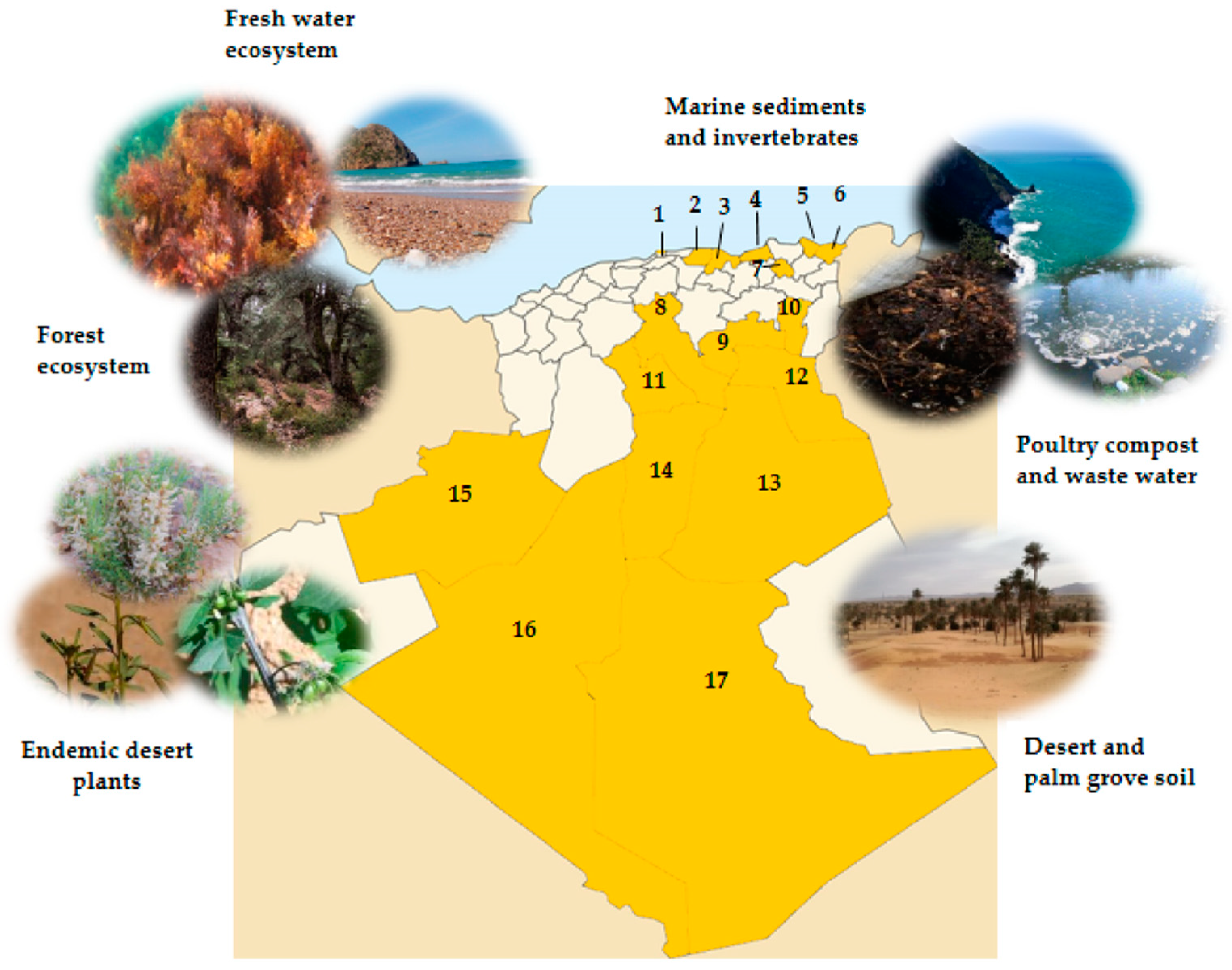 Antibiotics 08 00172 g001 Antibiotics 08 00172 g001