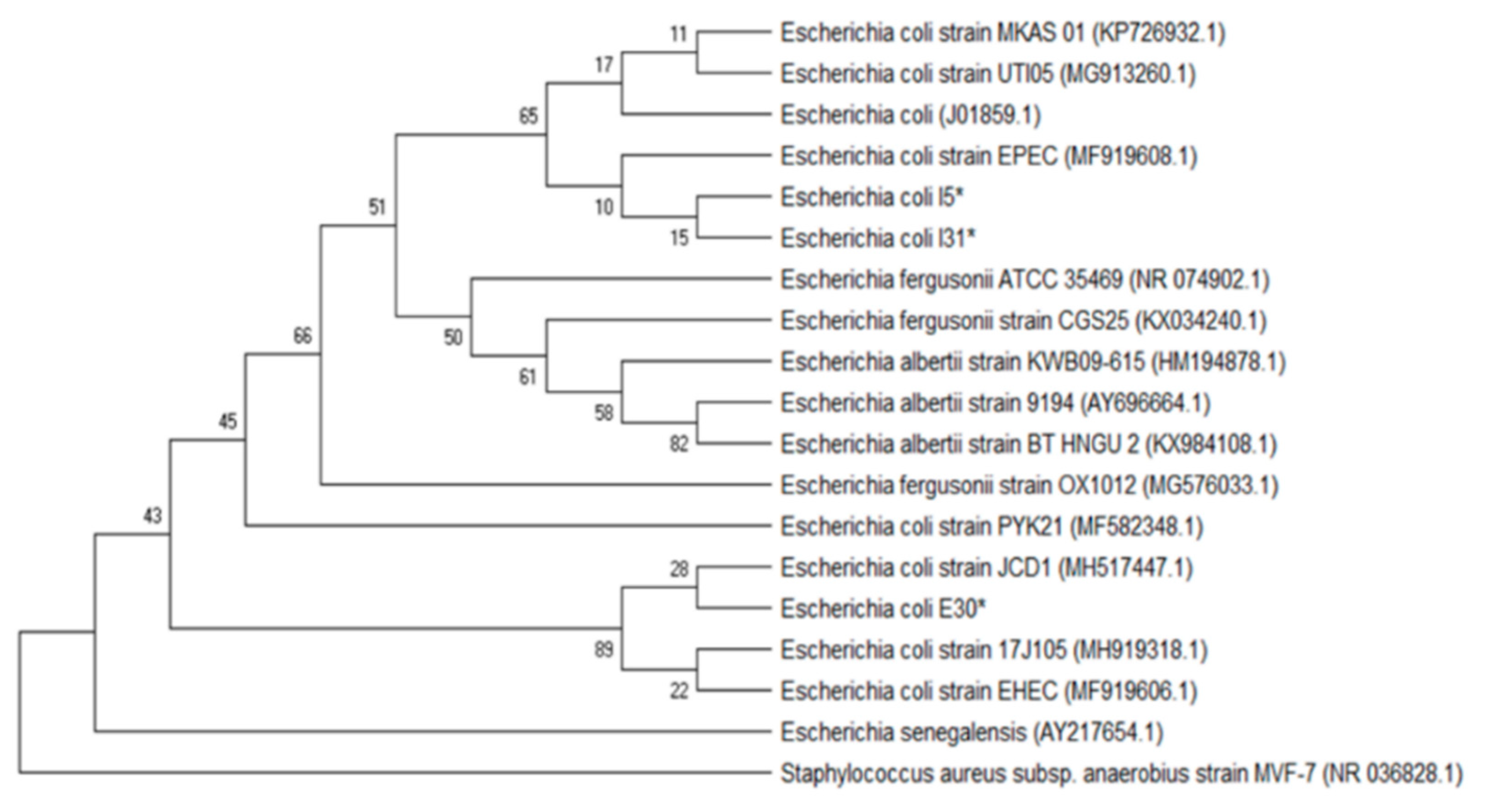 Antibiotics Free FullText Susceptibility of MultidrugResistant