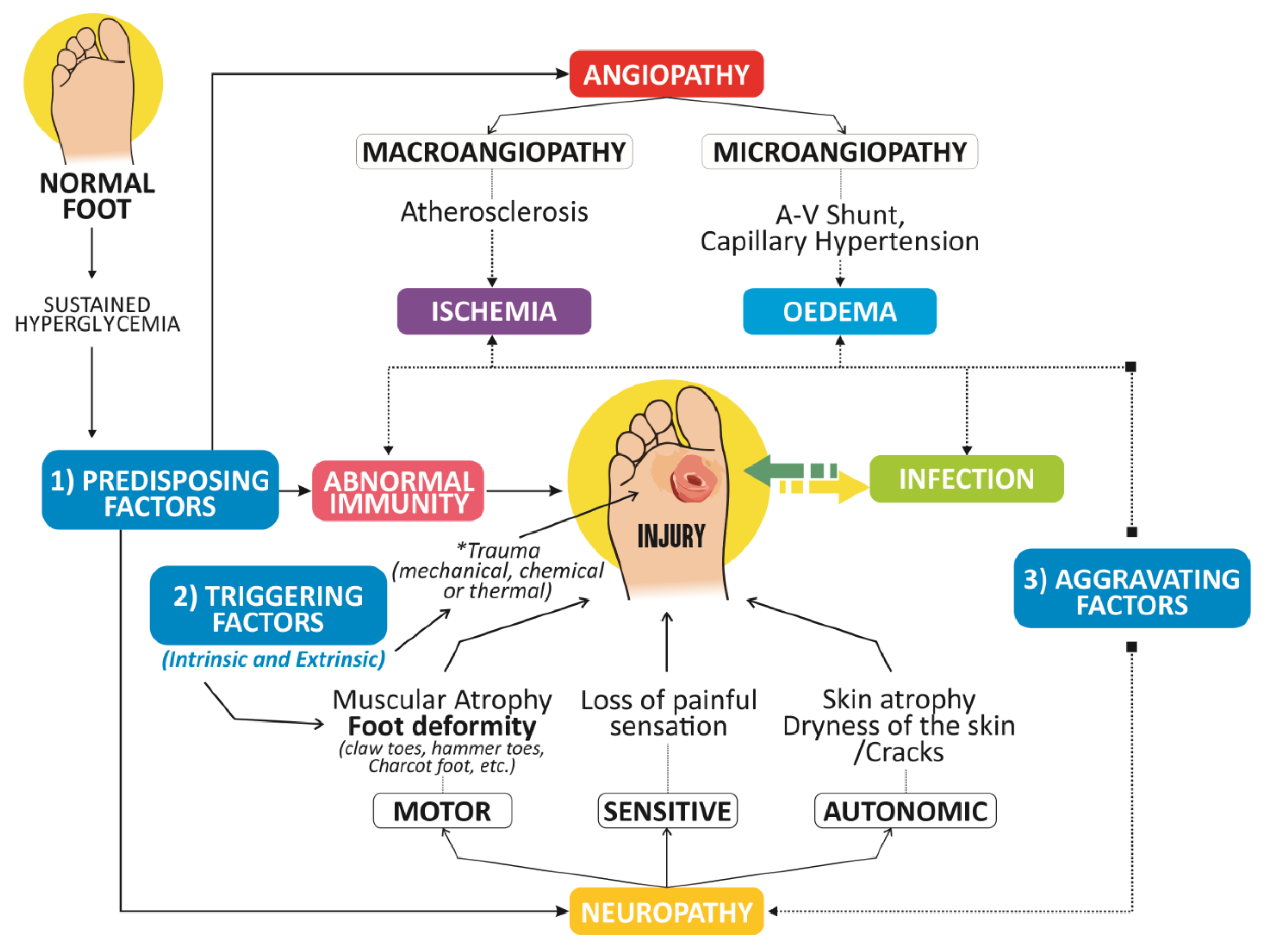 diabetic foot guidelines)