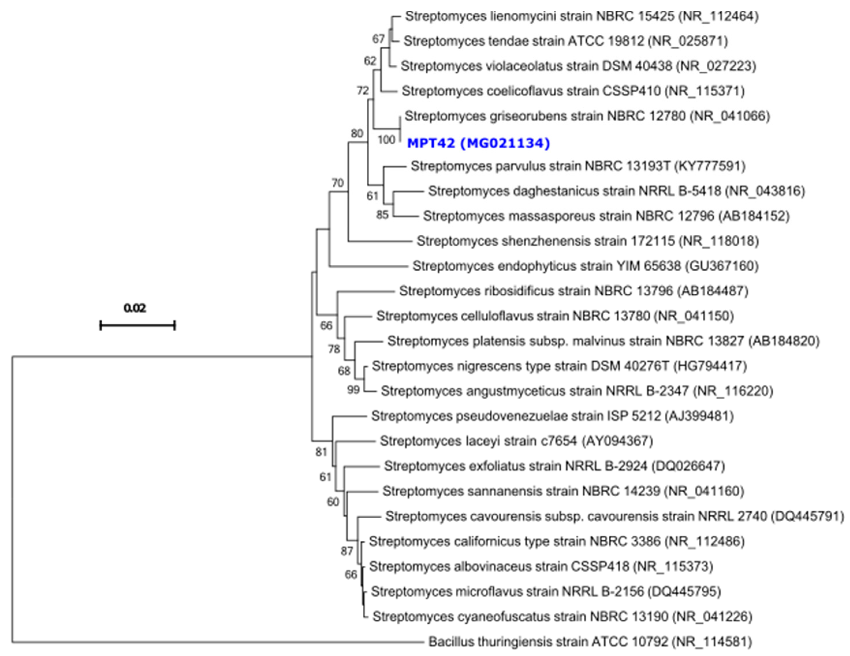 Antibiotics 08 00197 g002