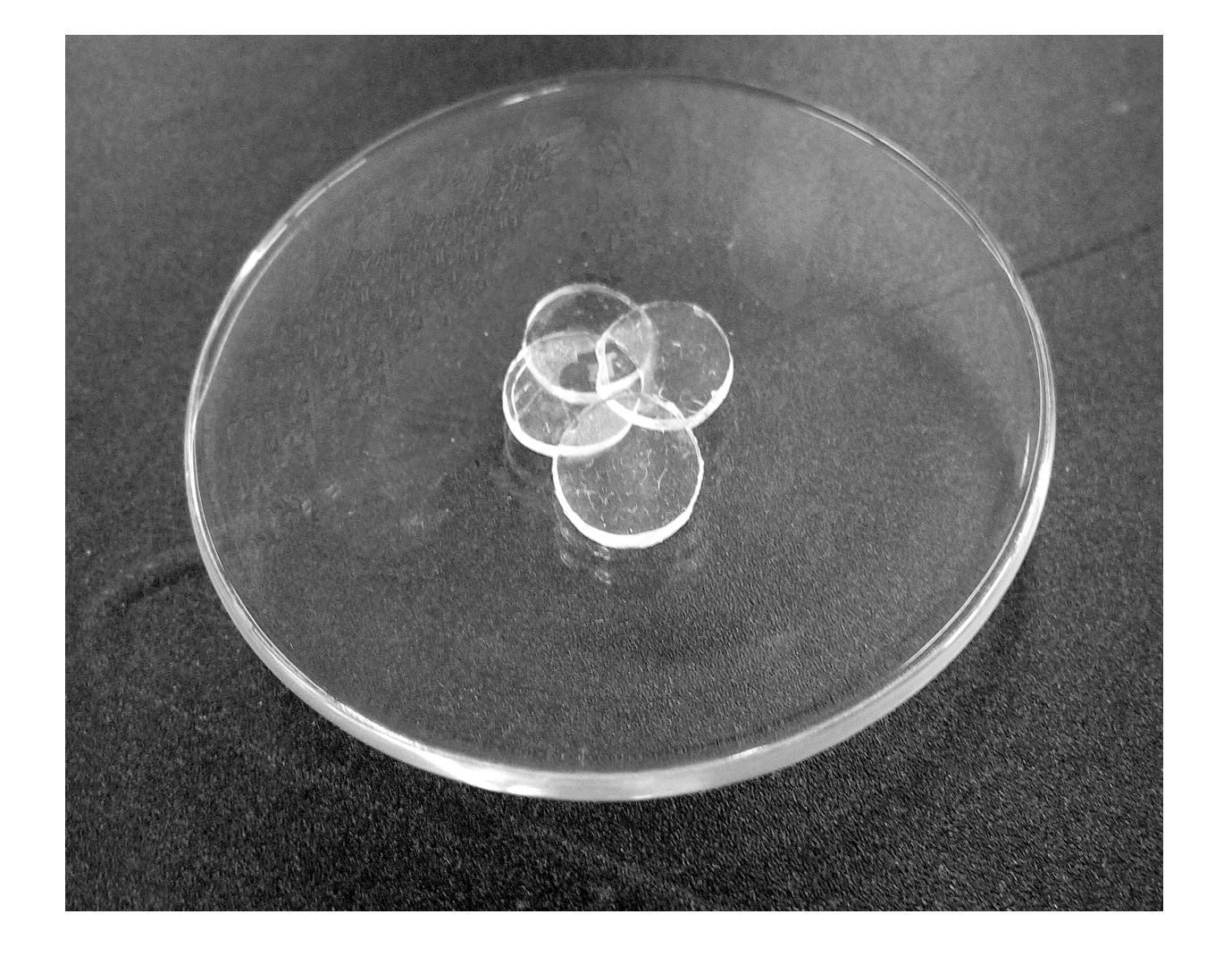 Antibiotics 08 00213 g007 Antibiotics 08 00213 g007