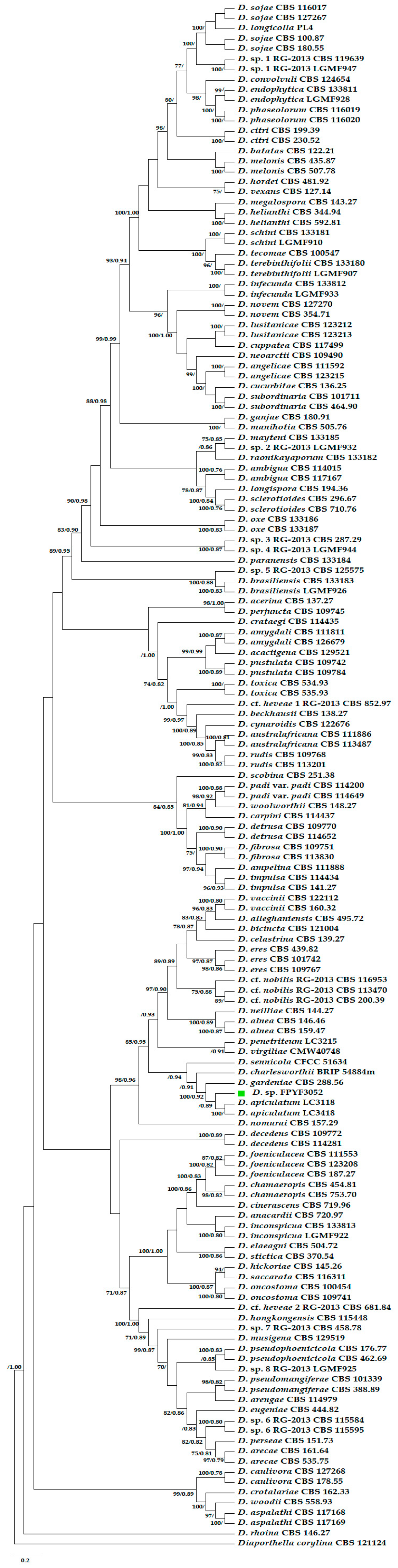 Antibiotics 08 00231 g002