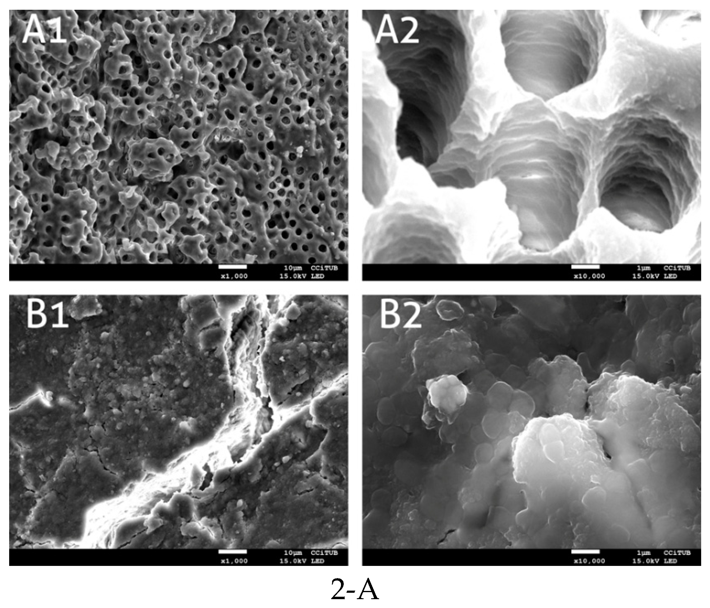 Antibiotics 08 00232 g002a Antibiotics 08 00232 g002a