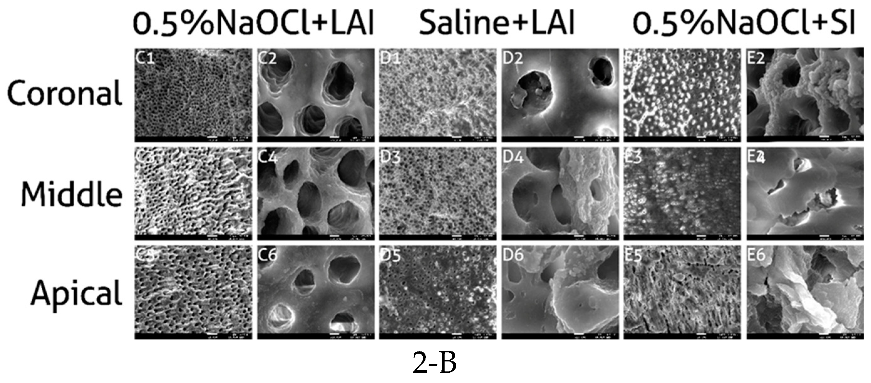 Antibiotics 08 00232 g002b Antibiotics 08 00232 g002b