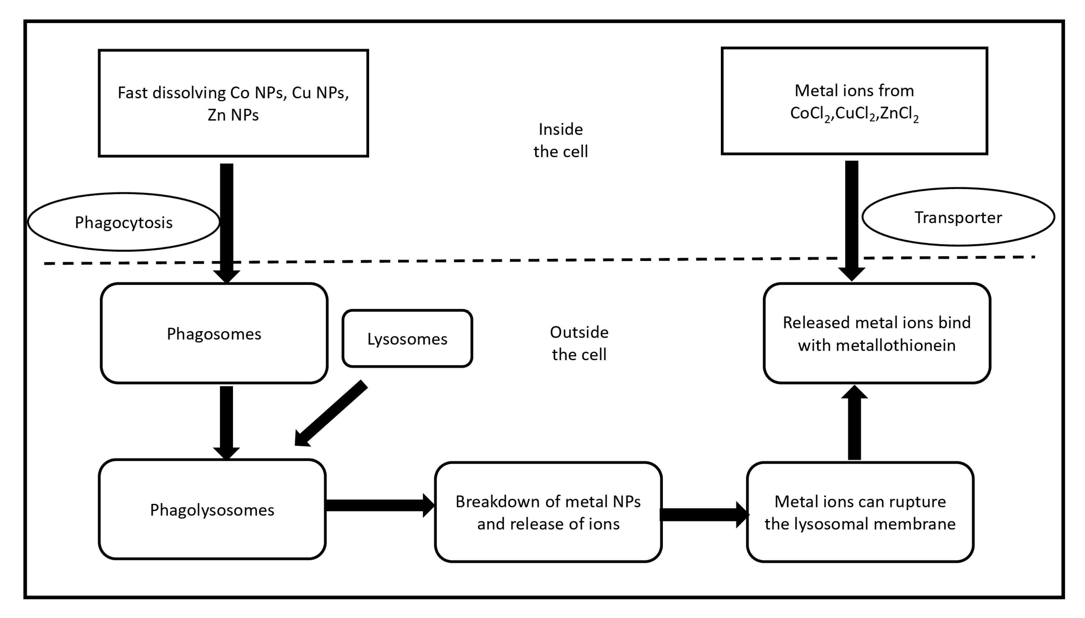 Antibiotics 08 00260 g001