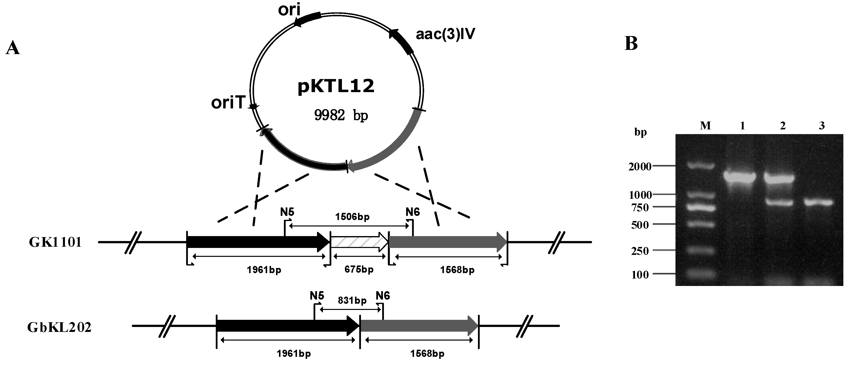 Antibiotics 08 00267 g003 Antibiotics 08 00267 g003