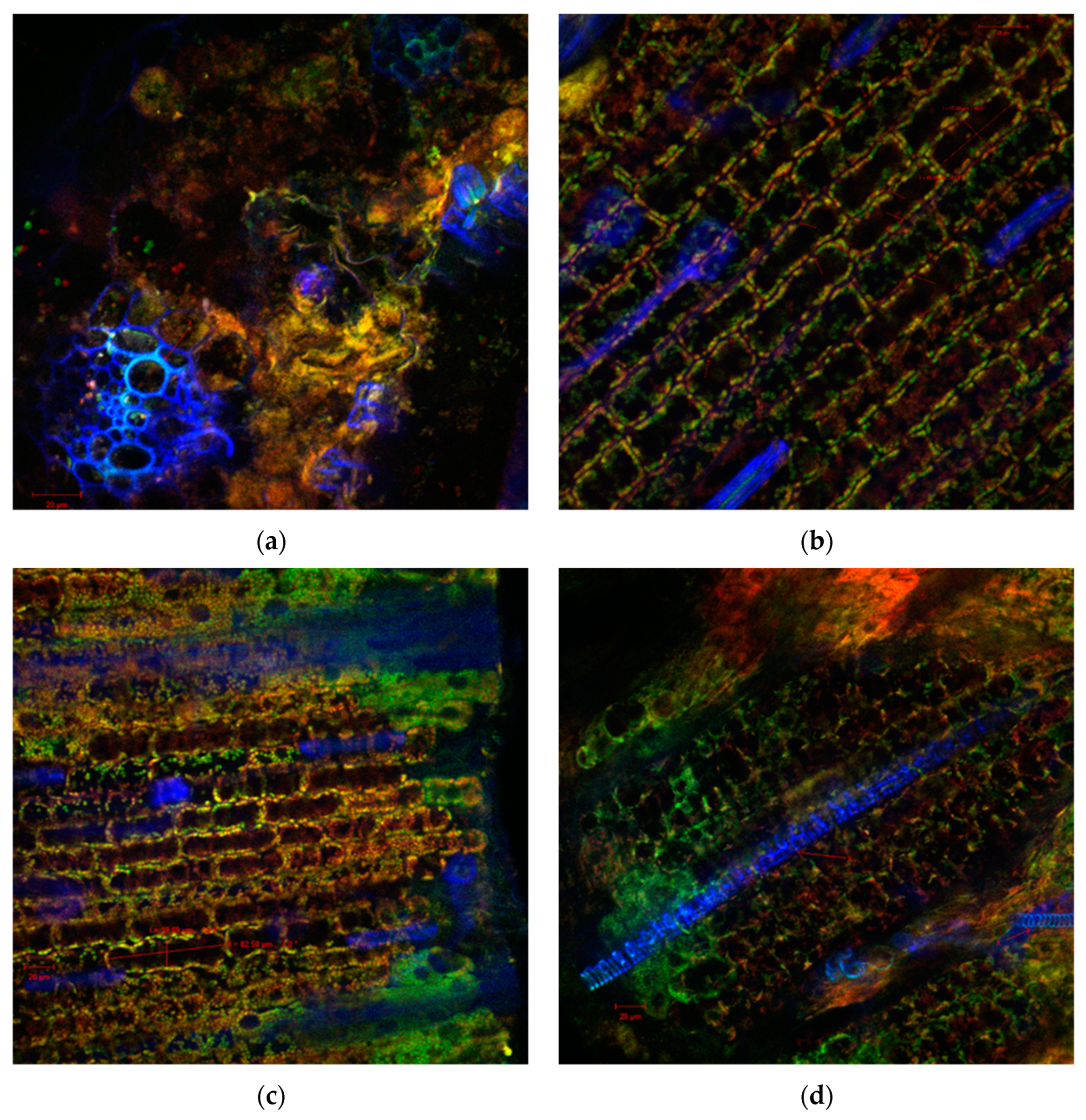 Antibiotics 09 00007 g003 Antibiotics 09 00007 g003