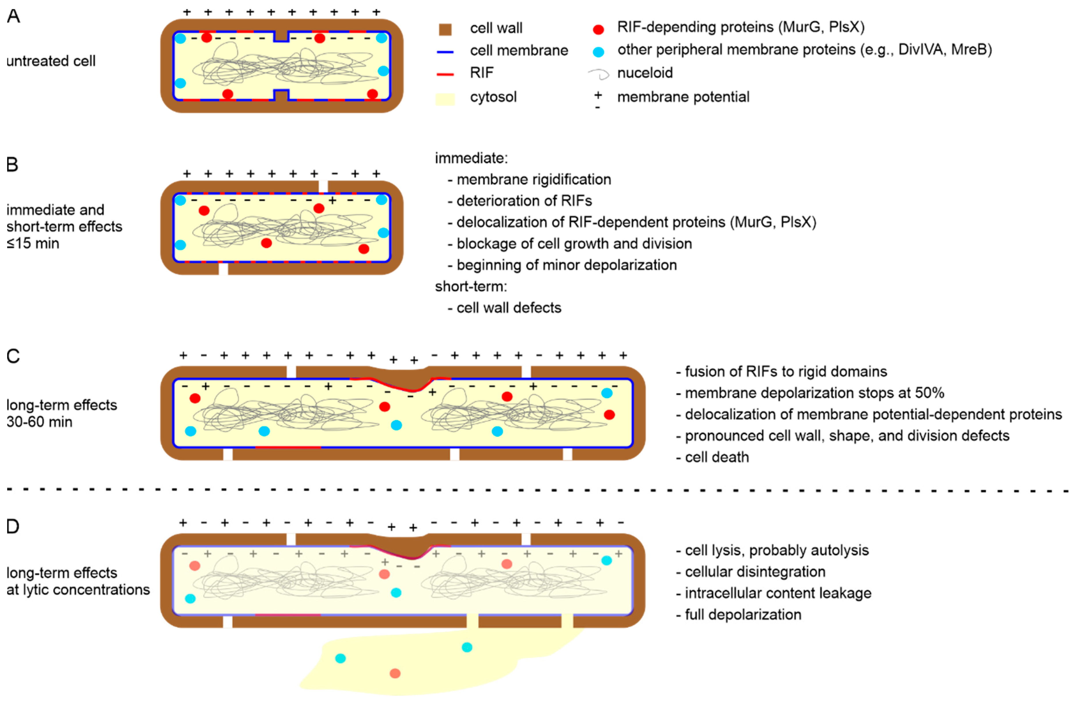 Antibiotics 09 00017 g004 Antibiotics 09 00017 g004