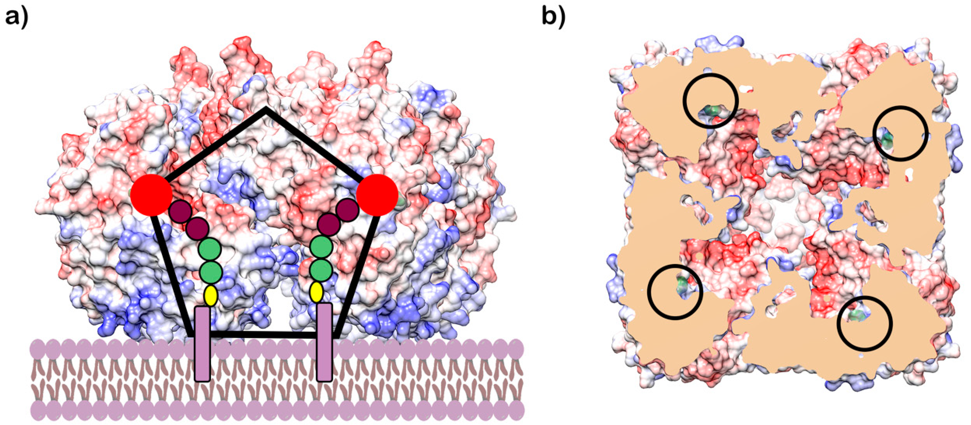 Antibiotics 09 00020 g006 Antibiotics 09 00020 g006