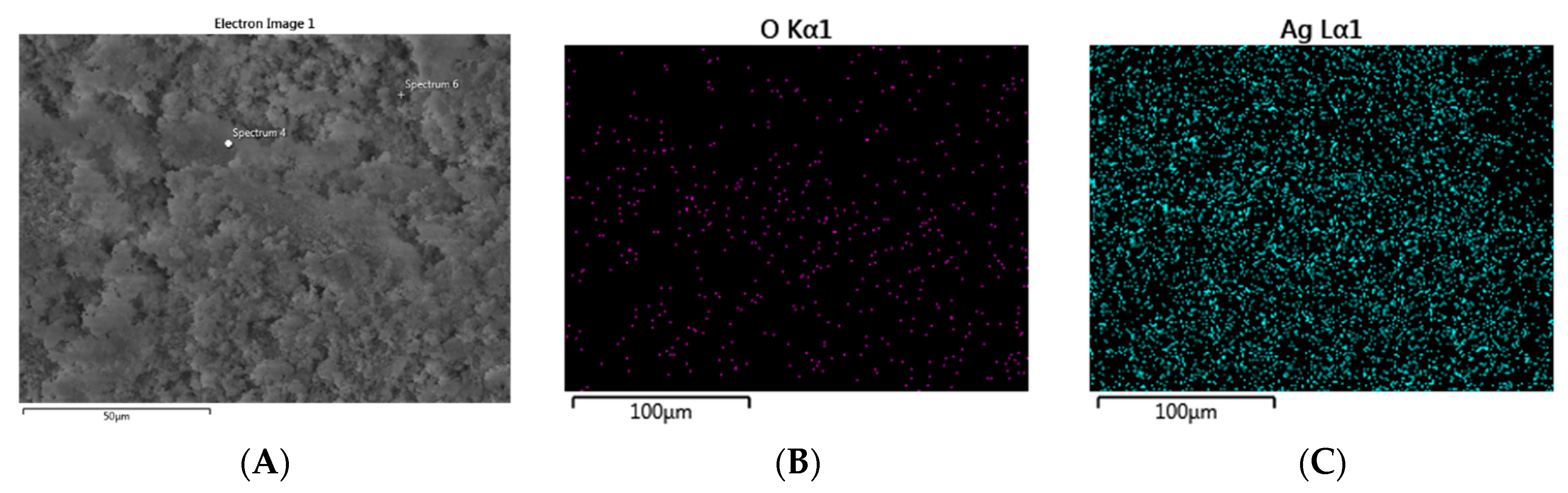 Antibiotics 09 00025 g001