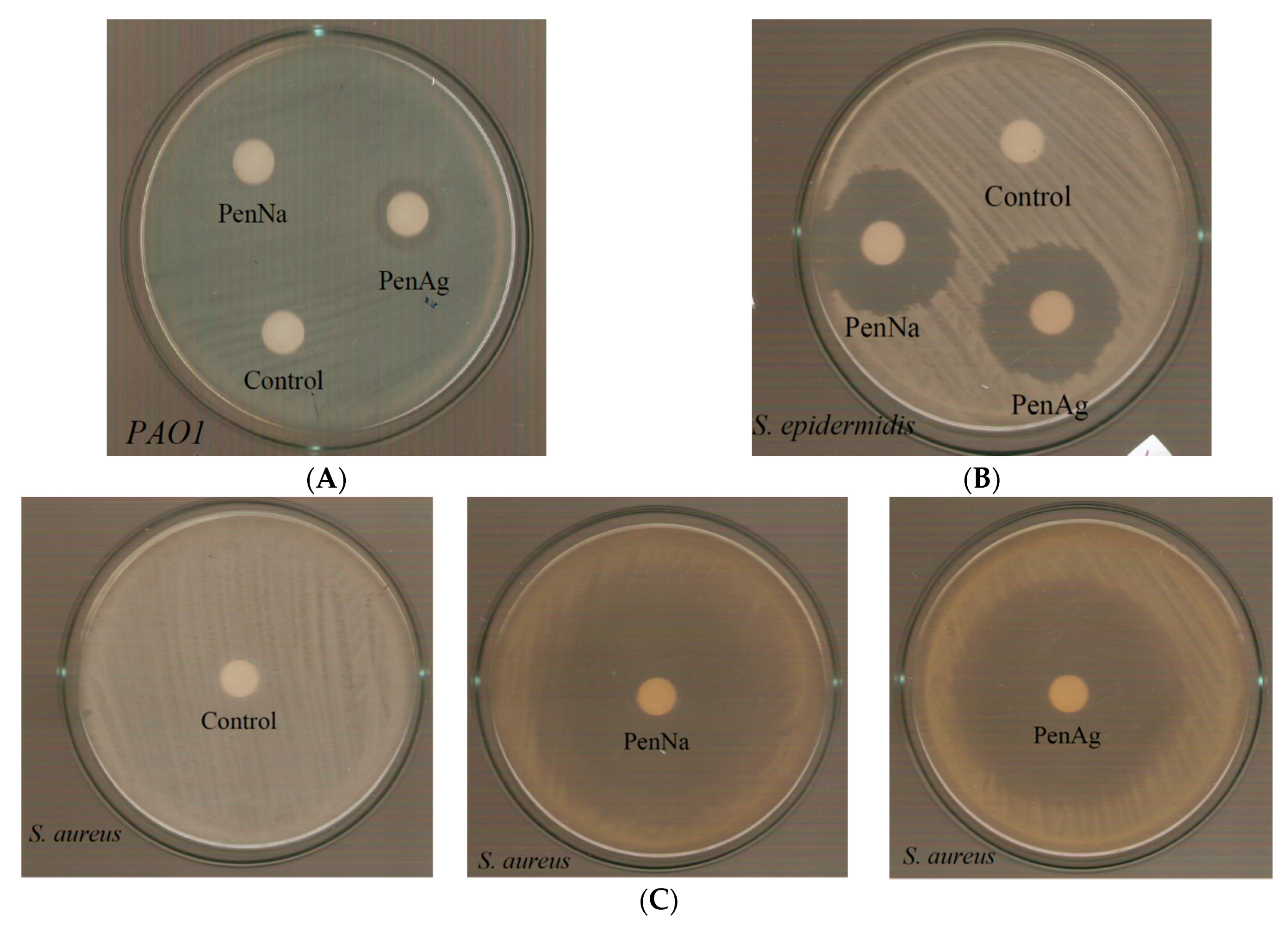 Antibiotics 09 00025 g008