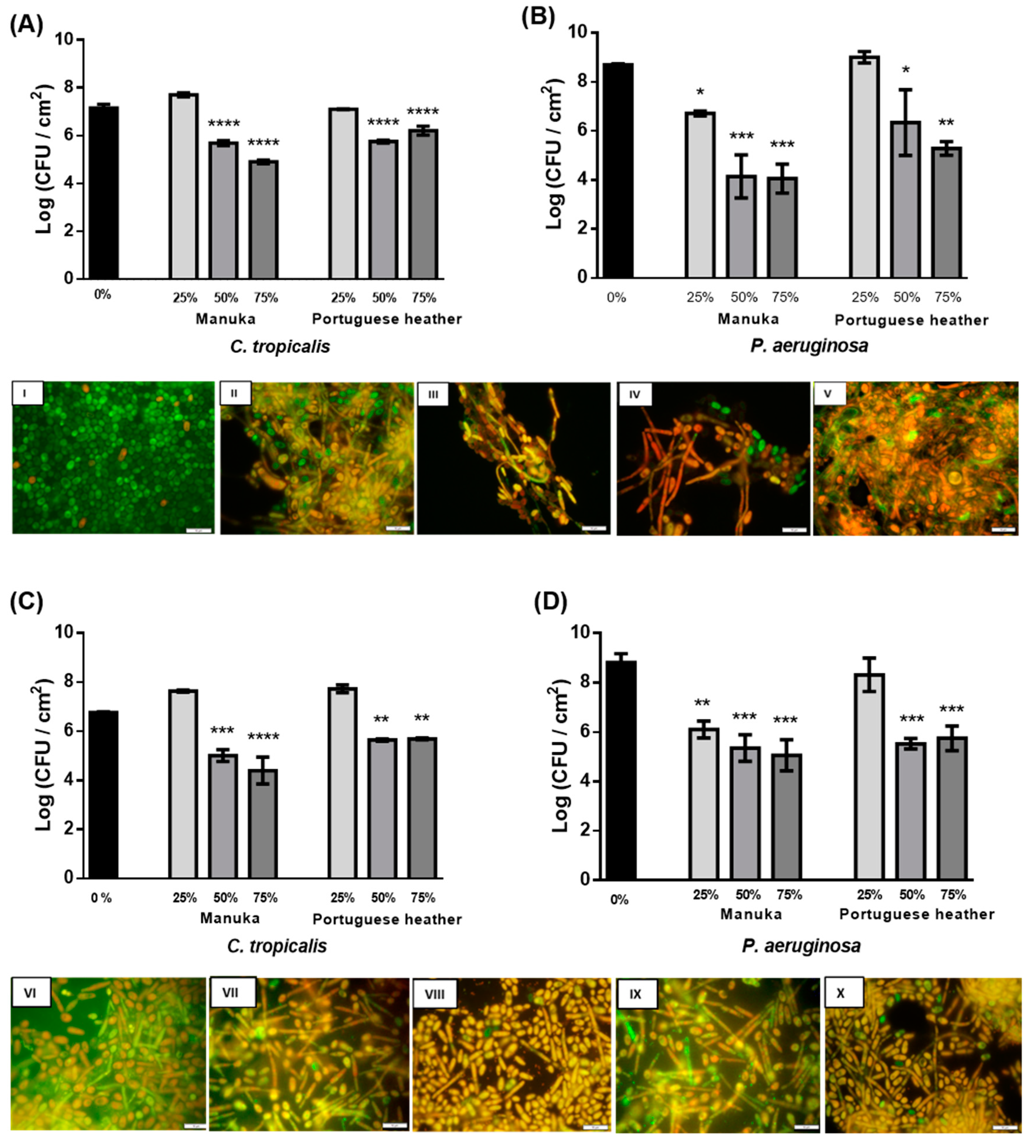Antibiotics 09 00043 g001