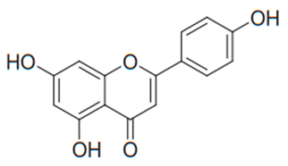 Antibiotics 09 00045 i042 Antibiotics 09 00045 i042